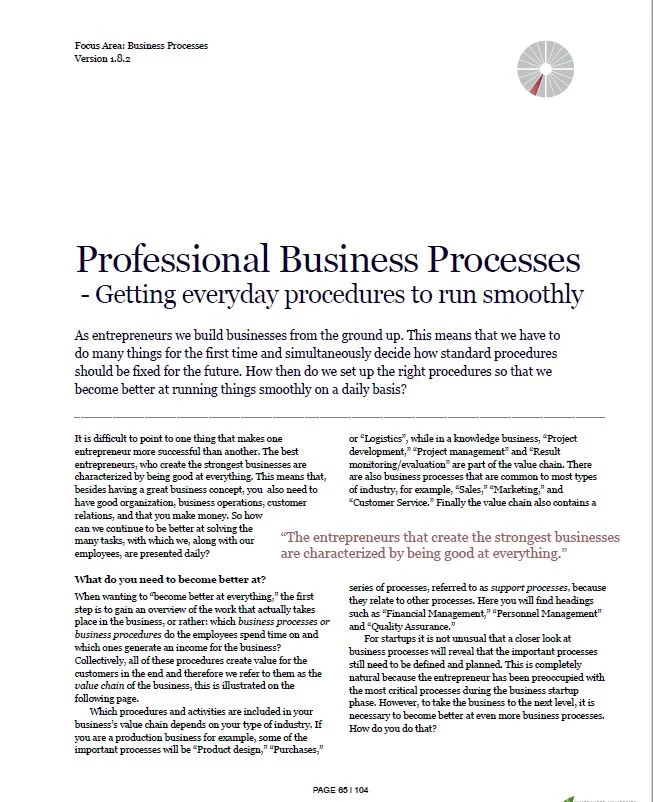 Professional Business Processes Document Screenshot