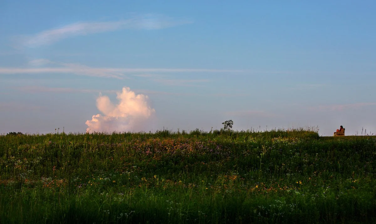 Prairie Restoration.jpg