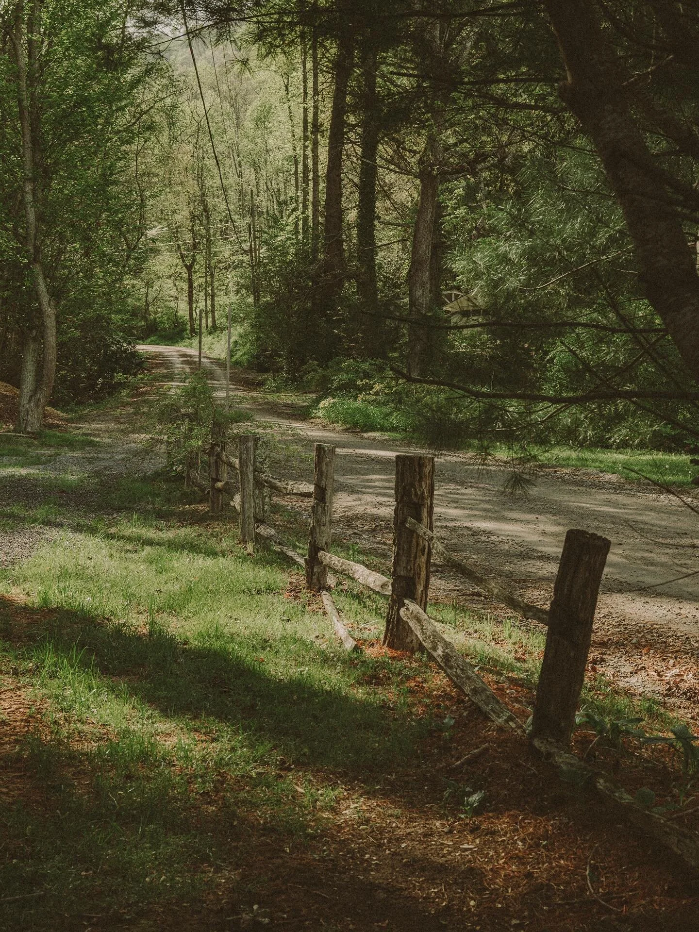 2025 through my camera 📷⭐️⭐️ excited to see what&rsquo;s to come in 2026!🌿