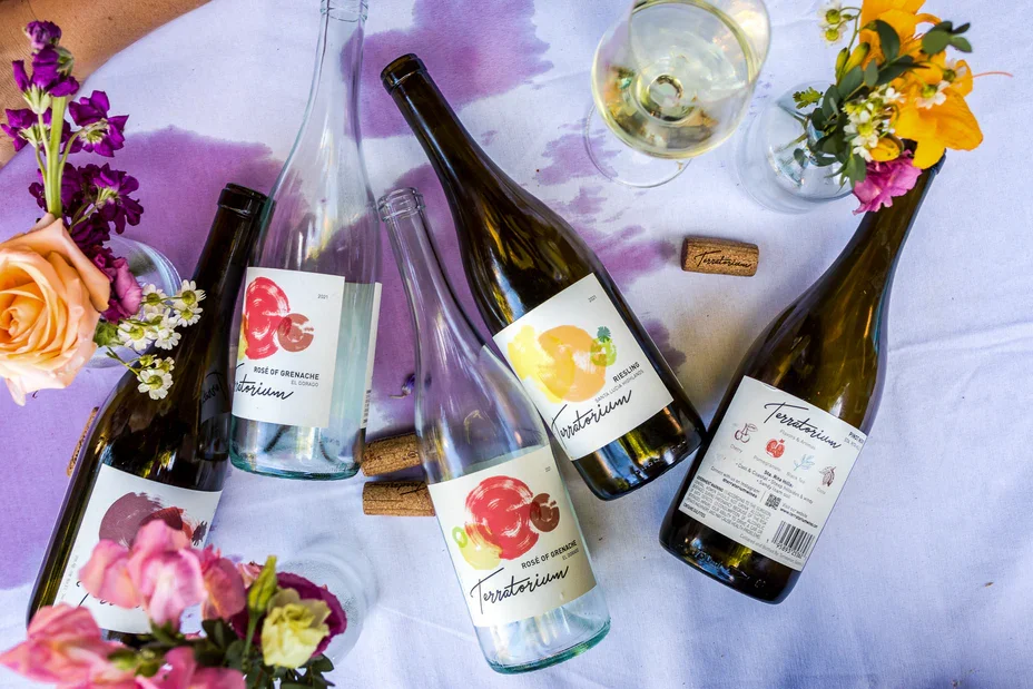 Terratorium Web Image.webp