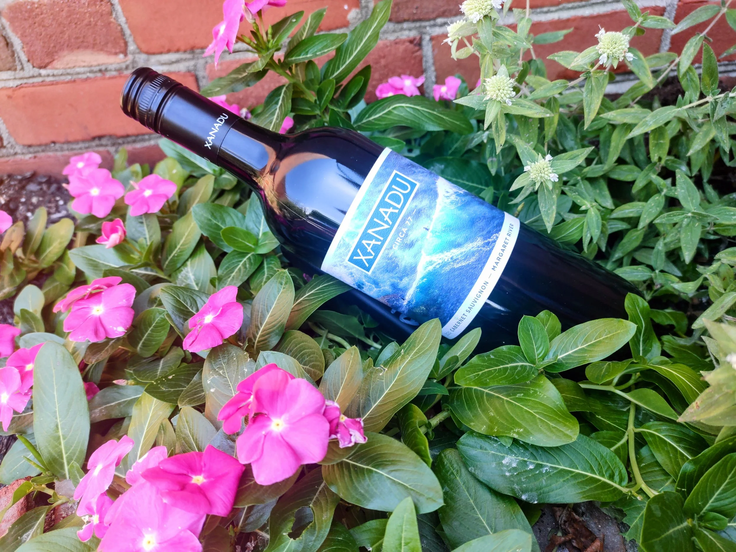 Looking to try something new? 🍷