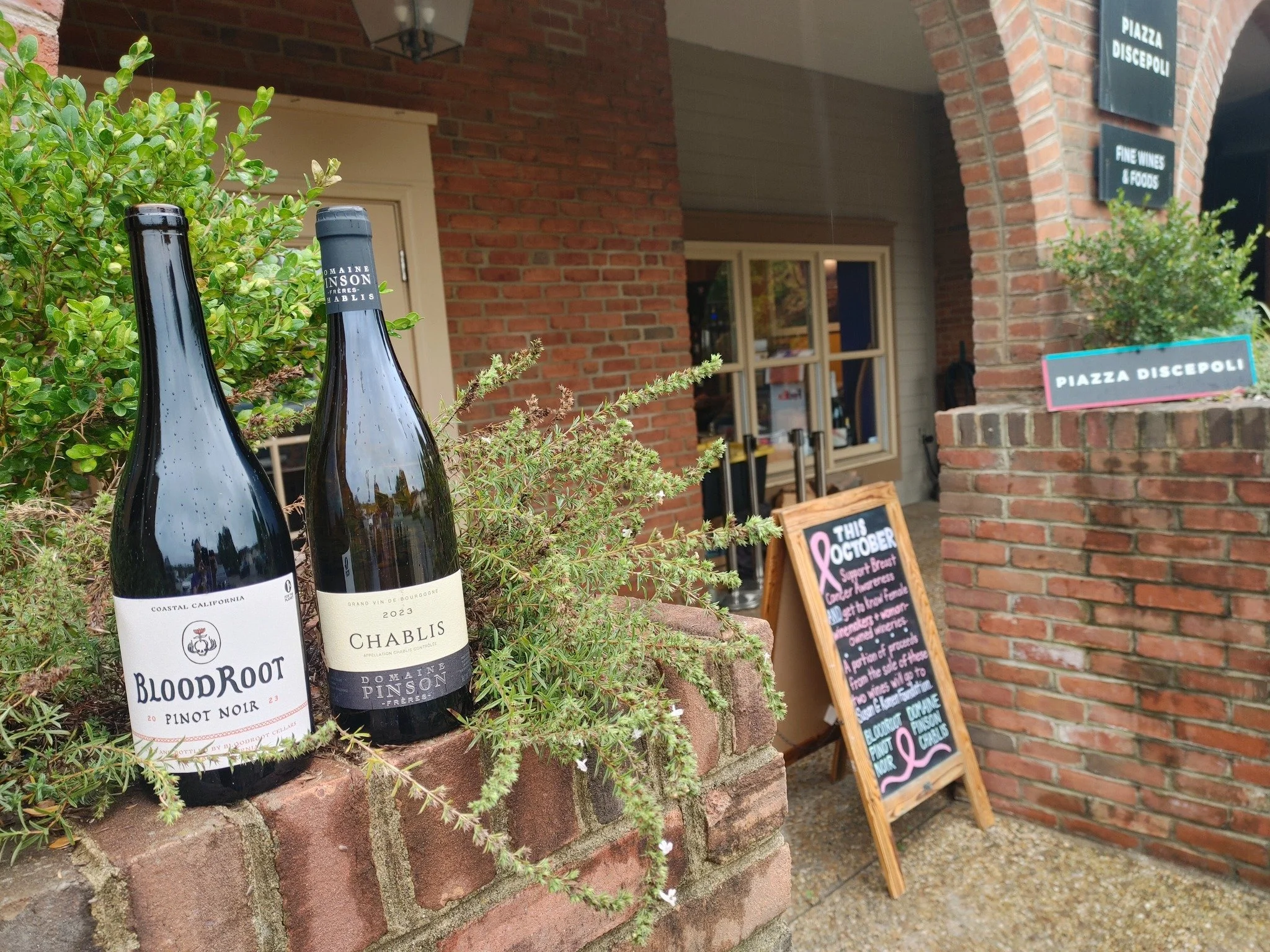 In honor of Breast Cancer Awareness Month, we are excited to feature female winemakers and woman-owned wineries through the month of October! A portion of the sales of these wines will be donated to the @susangkomen Foundation. Stop in and help us su