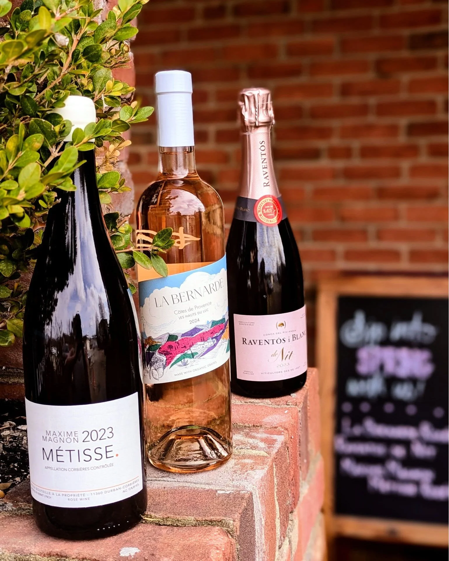 Sip into spring with us here at Piazza Discepoli! As soon as the sun comes out, we&rsquo;re pouring ros&eacute;! Grab a bottle and soak up the spring-like weather while it lasts! 🌞🍷 We have all of our tried-and-true favorites here, plus a newer one