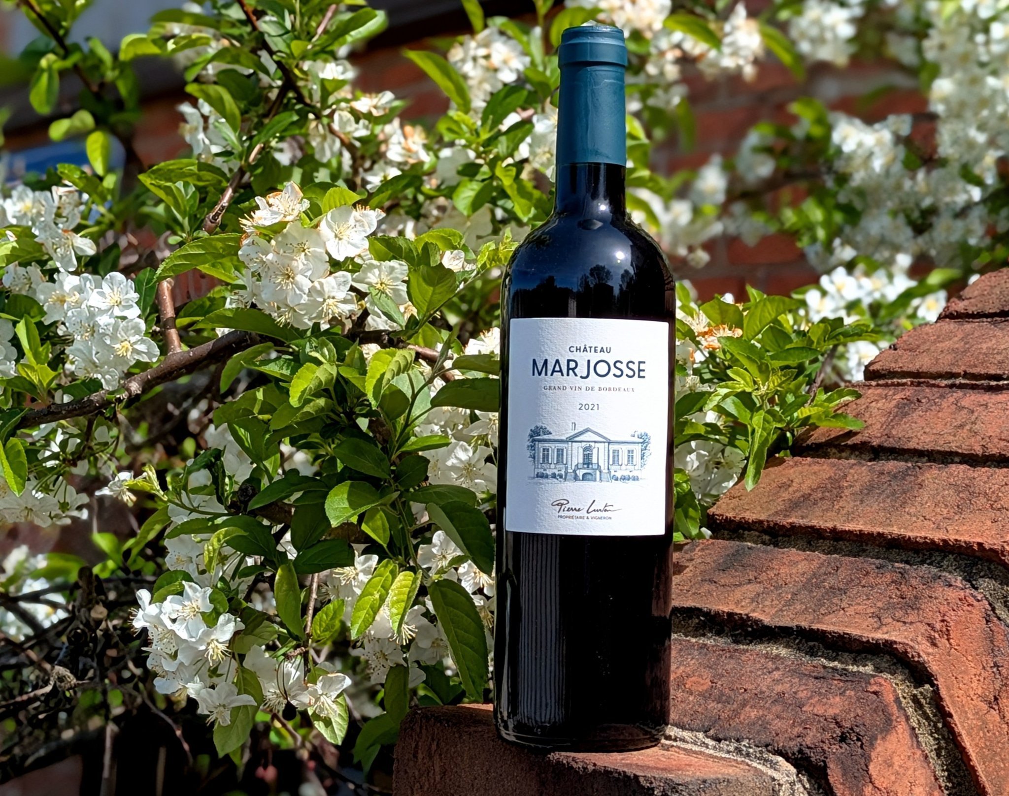 Tomorrow is the FINAL day of Early Bird pricing for our upcoming Bordeaux Uncorked event. Reserve your seat now! 🔗in bio. 

Stop in to grab a preview of a lovely Bordeaux priced for everyday drinking. The 2021 Ch&acirc;teau Marjosse Bordeaux Rouge (