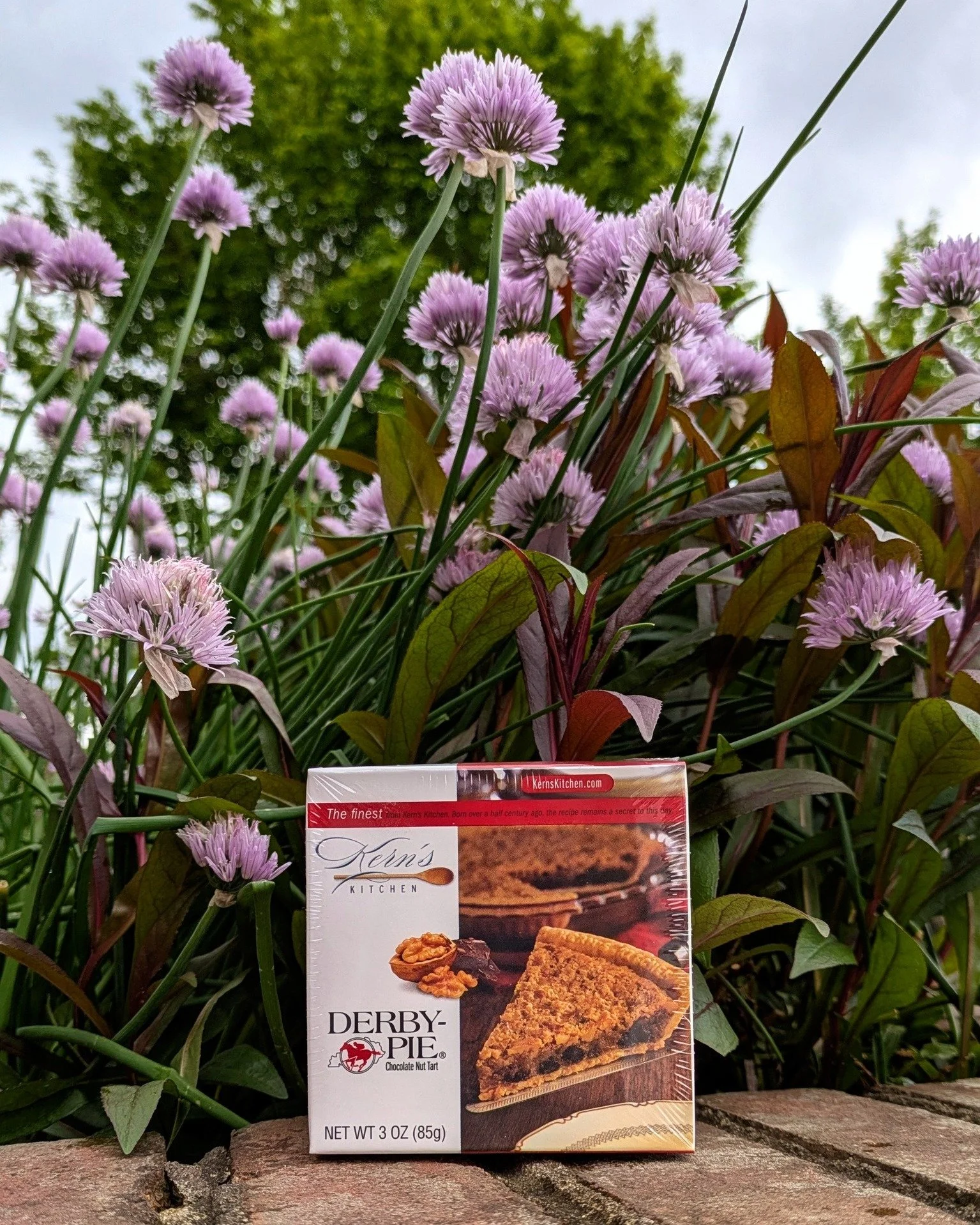 A little slice of Kentucky tradition. 🥧✨

Kern&rsquo;s Mini Tart Derby Pie is rich, chocolatey, nutty, and perfectly sized for an afternoon treat or an easy dessert.

Available in the shop for just $5. Grab yours today and get ready for the Derby to