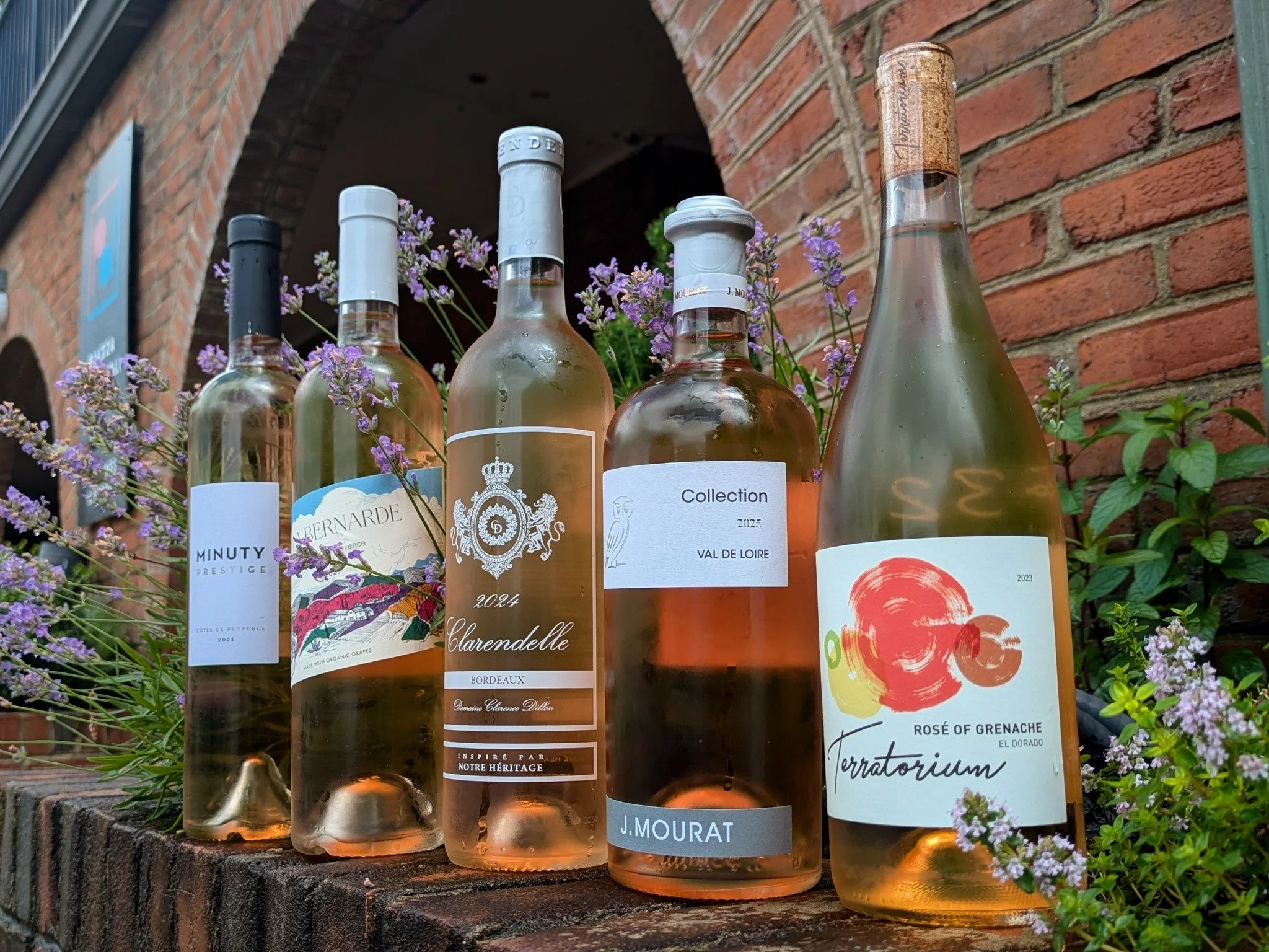 Think pink all month long! 🩷✨ June is officially National Ros&eacute; Month, and we&rsquo;re celebrating the best way we know how: with a glass in hand. Stop by any Saturday in June for a casual, laid-back tasting featuring two distinct Ros&eacute;s
