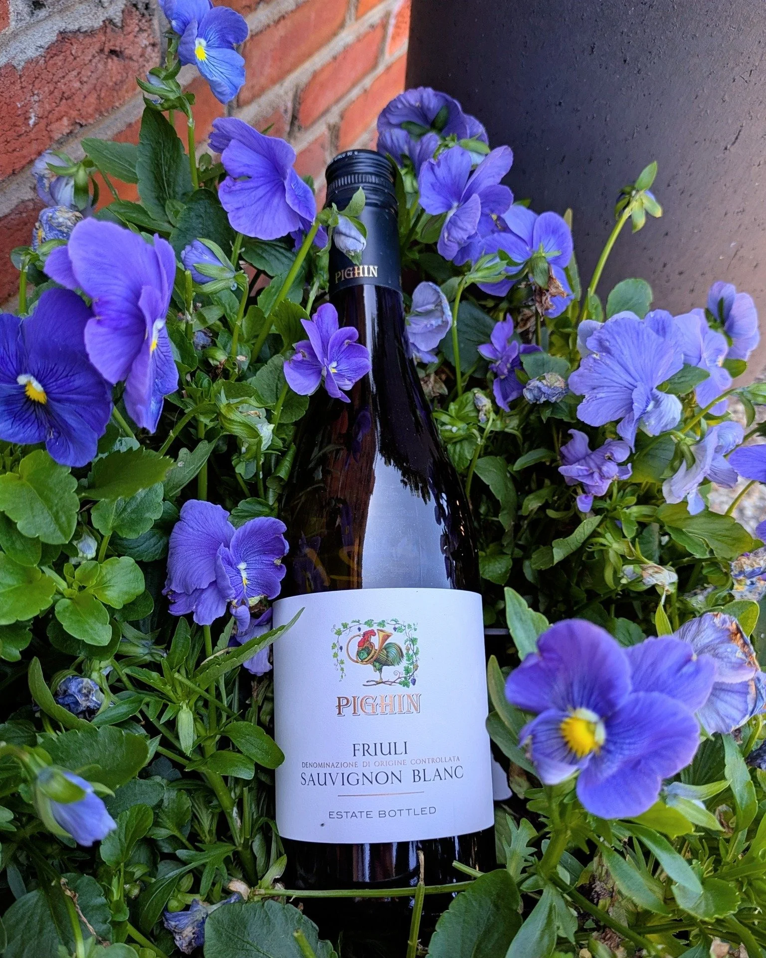 Kick off June this Friday at Flights + Bites. We will be tasting through four great wines from our friends over at Wine Trends. The night starts out with this Italian Sauvignon Blanc from Pighin in Friuli. We tend to think of France or New Zealand wh