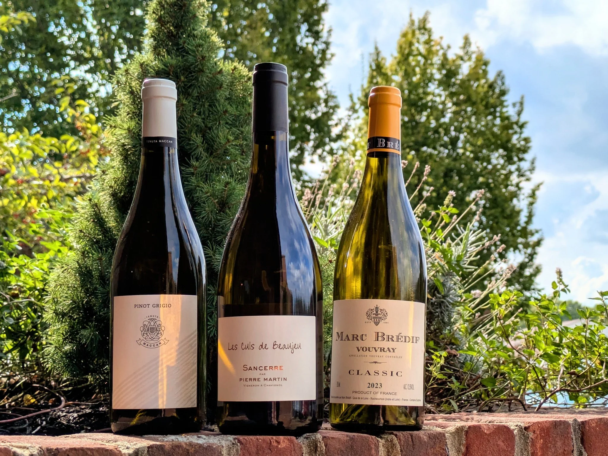 It might not be &ldquo;chic&rdquo; to wear white after Labor Day, but drinking white wine never goes out of style. 🤍🍷

However, as the weather cools, we may want a little more from our whites than a crisp, refreshing summer sipper. Enter the fall w