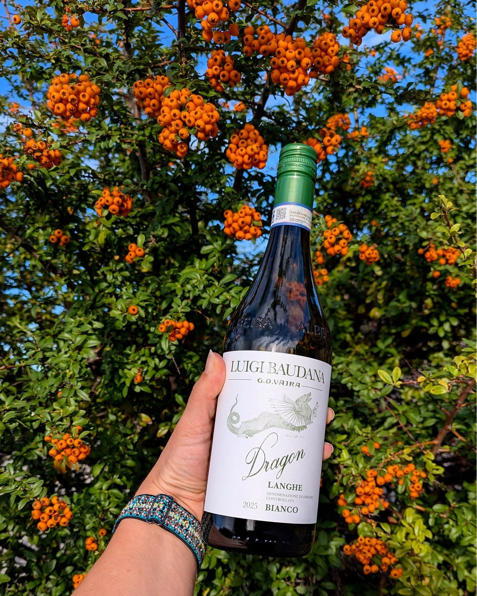 A taste of Italy in your glass next Friday. 🍷 Join us for Friday Night Flights + Bites with Randy from WineCRAFT, featuring a lineup of Italian wines worth discovering, including this beautiful Langhe Bianco from Luigi Baudana.

Next Friday, we&rsqu