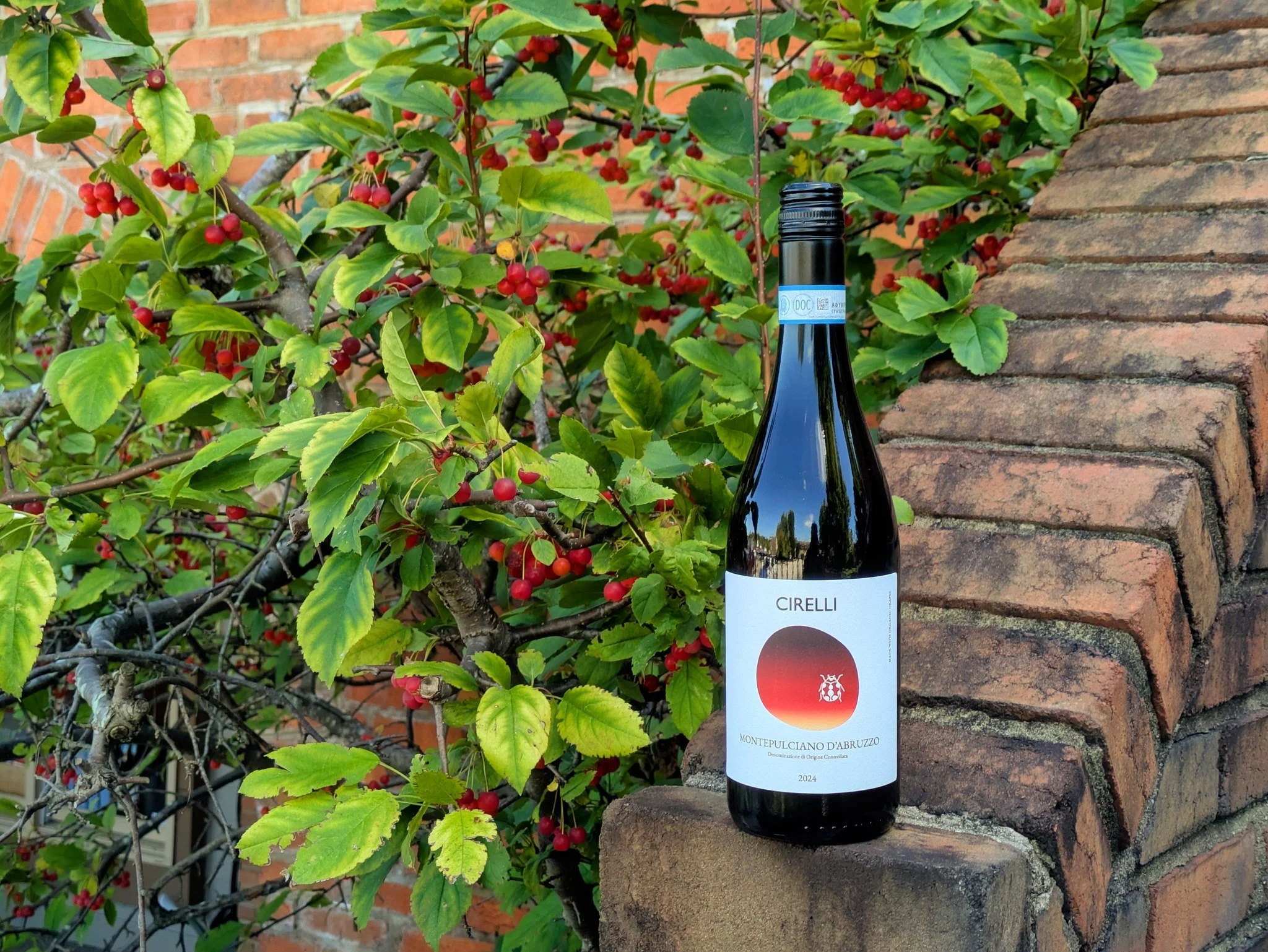 This week at Friday Night Flights + Bites, we're bringing you a wonderful opportunity to explore Italian wines with Randy from WineCRAFT. Cirelli Montepulciano d&rsquo;Abruzzo is made from Montepulciano, one of Italy&rsquo;s beloved red grape varieti
