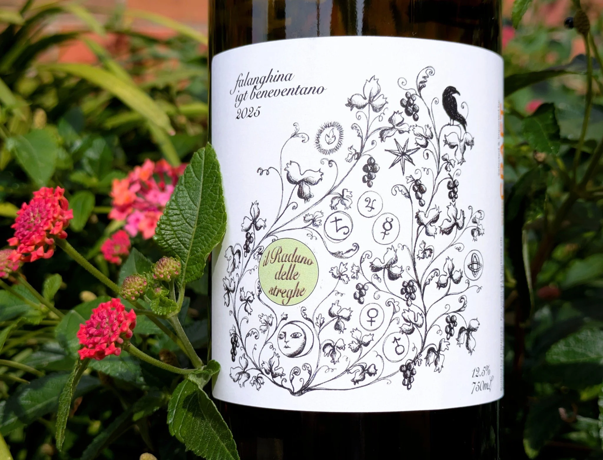 Rooted in the sun-drenched hills of Campania in southern Italy, Il Raduno delle Streghe Falanghina del Beneventano ($20) pays homage to the rich folklore of Benevento, famously known since antiquity as Italy's "City of Witches." Legend has 