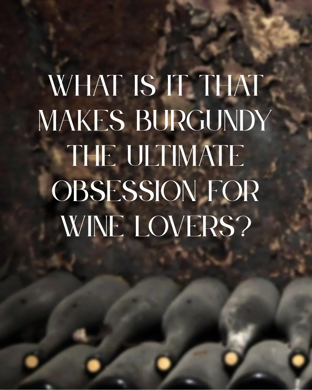 What makes Burgundy so fascinating? For wine lovers, it&rsquo;s the idea that a wine can tell the story of exactly where it came from. From tiny vineyard parcels come the distinctive expressions of Pinot Noir and Chardonnay; Burgundy is a study in te