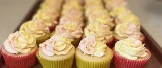 IMG_0285.jpg