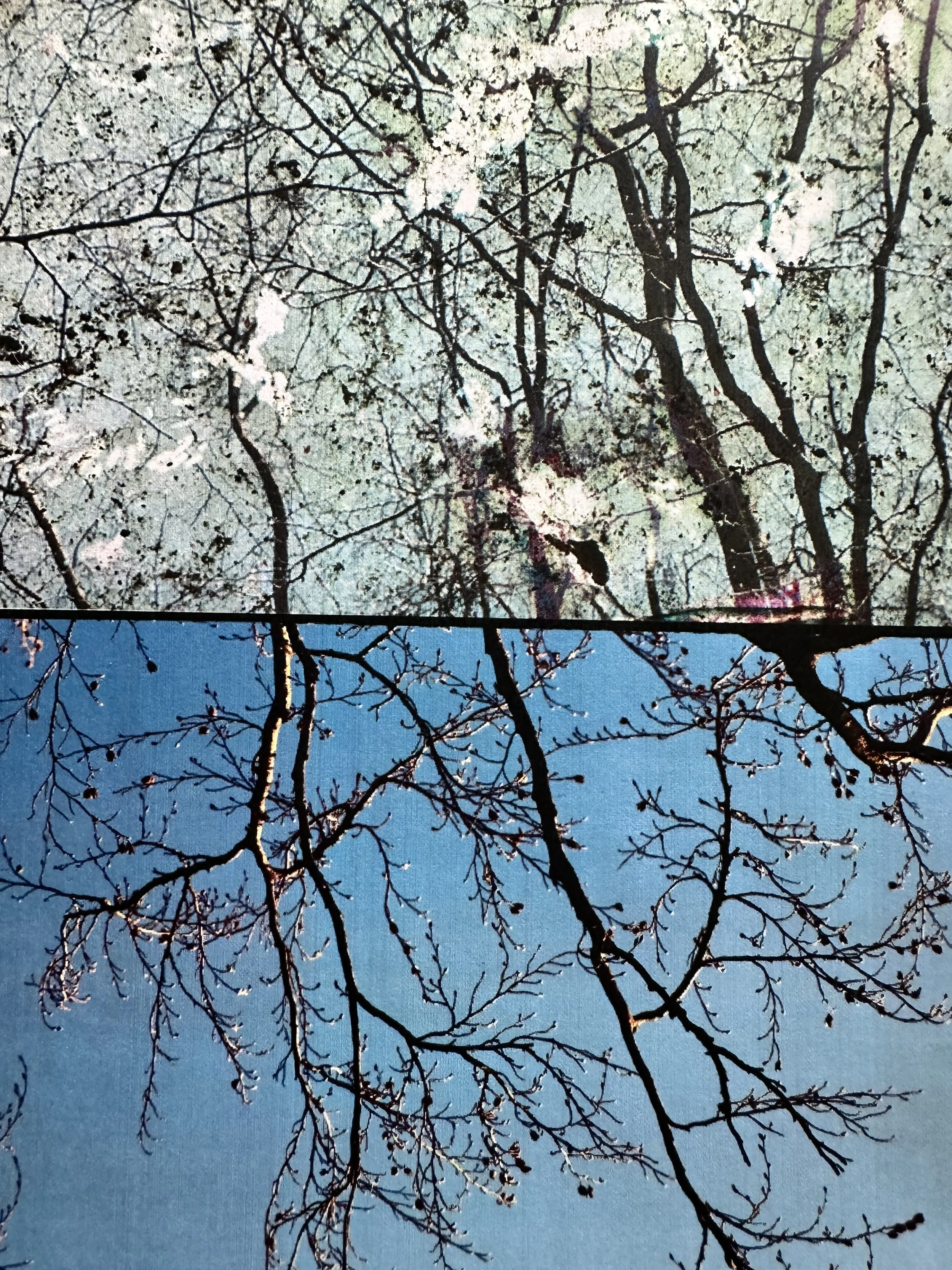 Diptych images combining 4x5 transparencies with buried 120 film