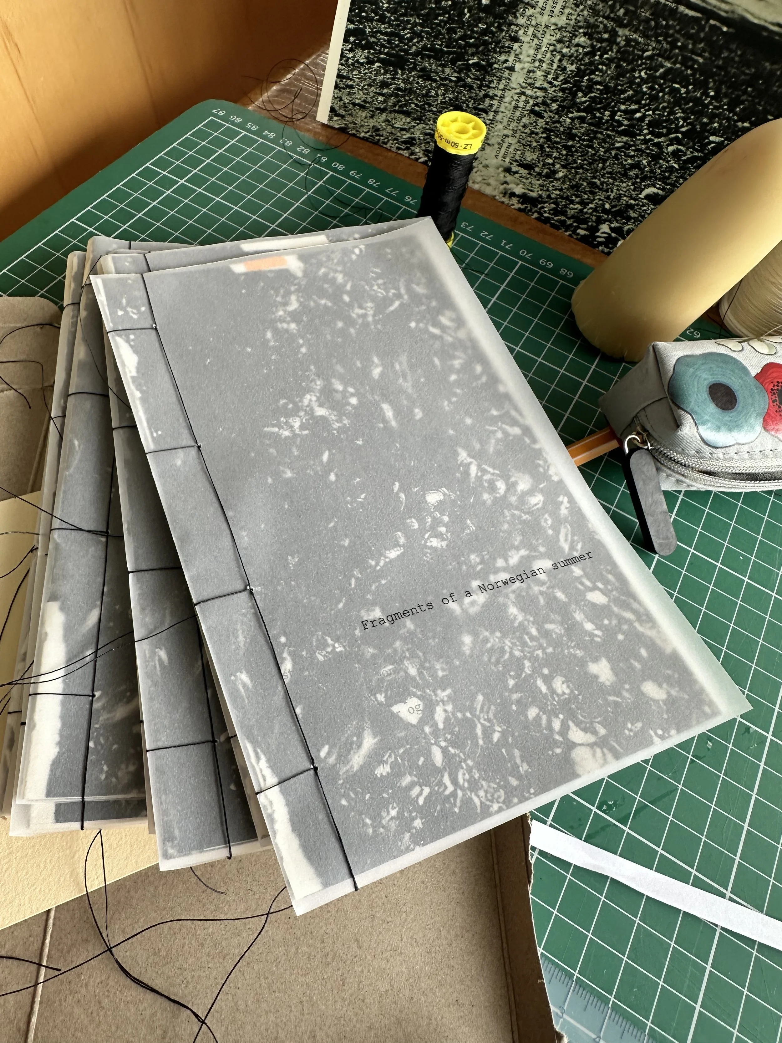 My book 'Fragments of a Norwegian summer'
