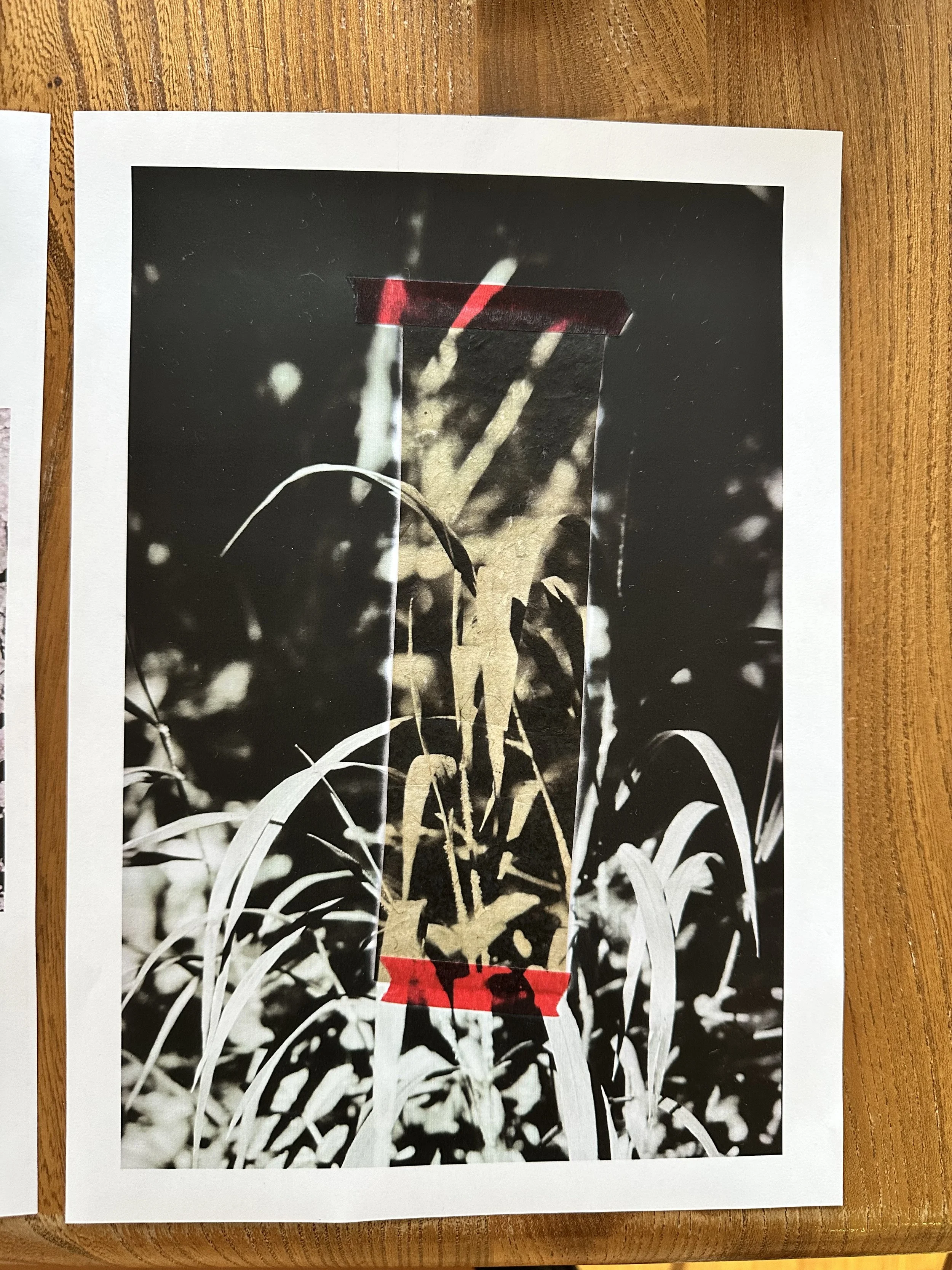 'What a Waste' exhibition curated by Malindi Walker - star!