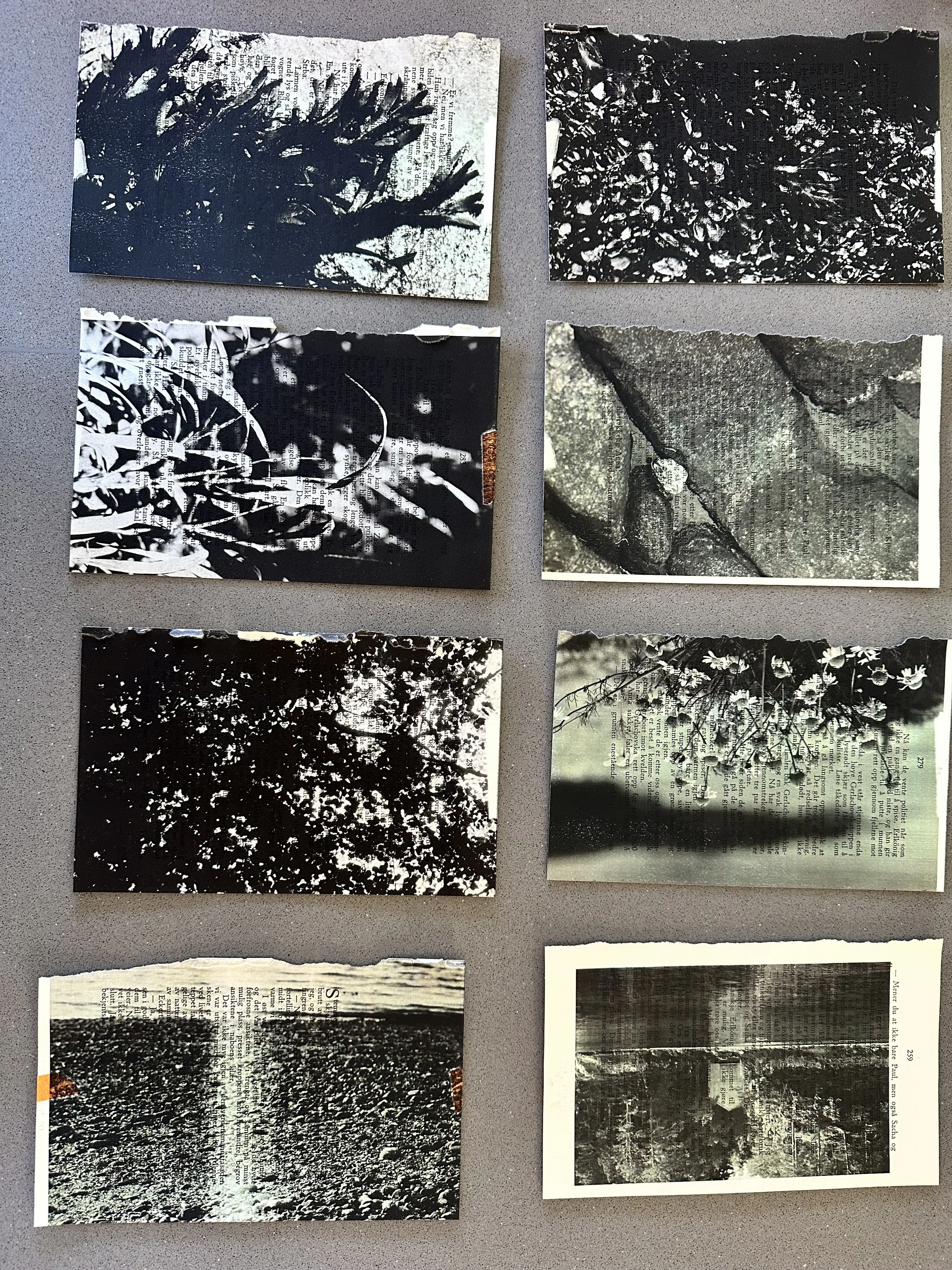Fragments of a Norwegian summer book