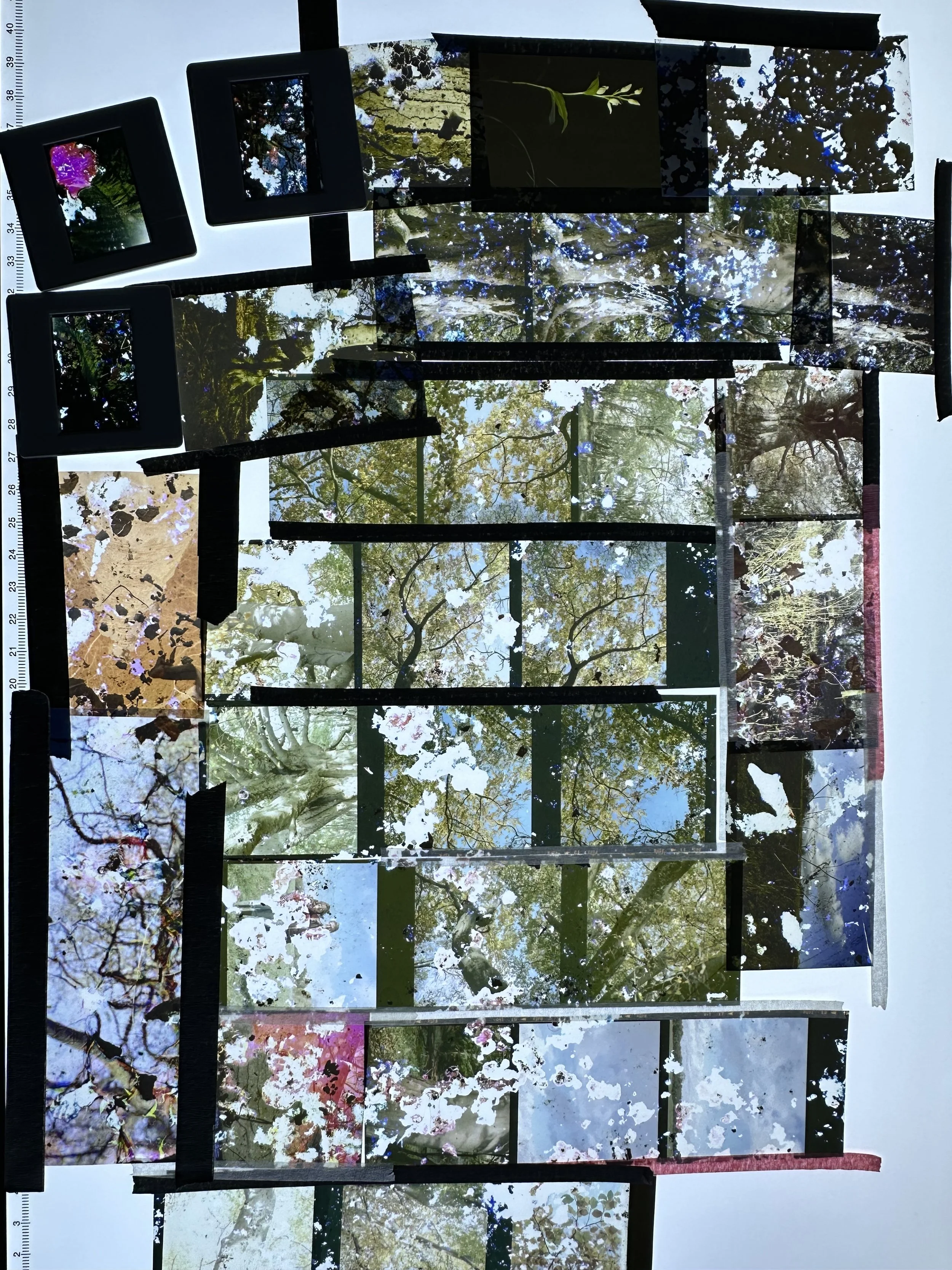 Collaging transparencies