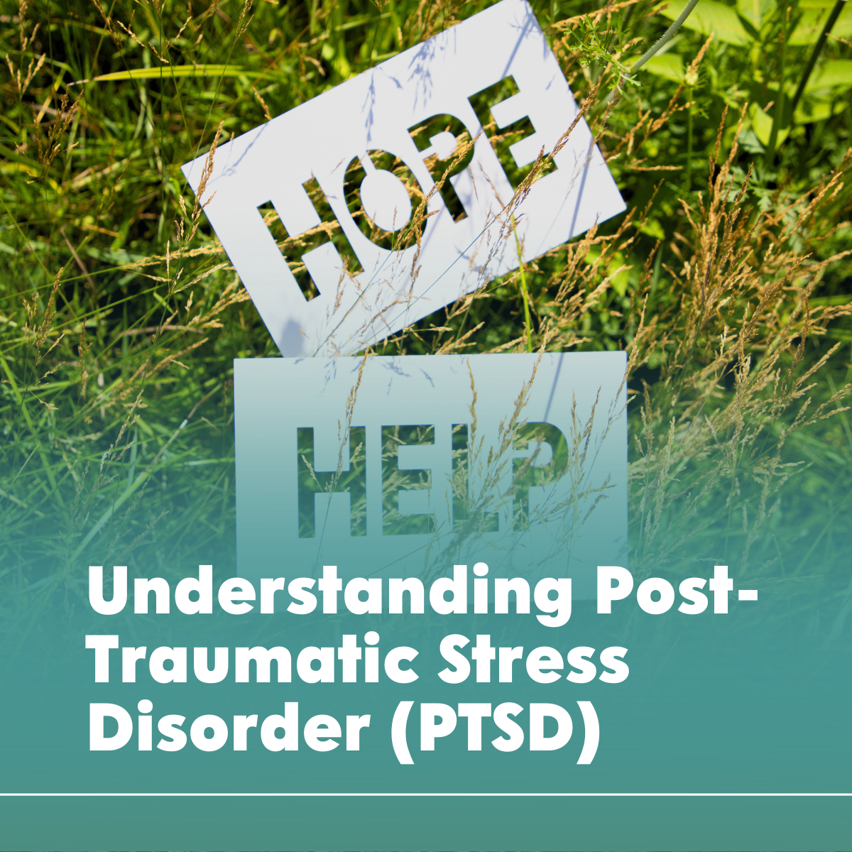 Understanding Post-Traumatic Stress Disorder (PTSD)