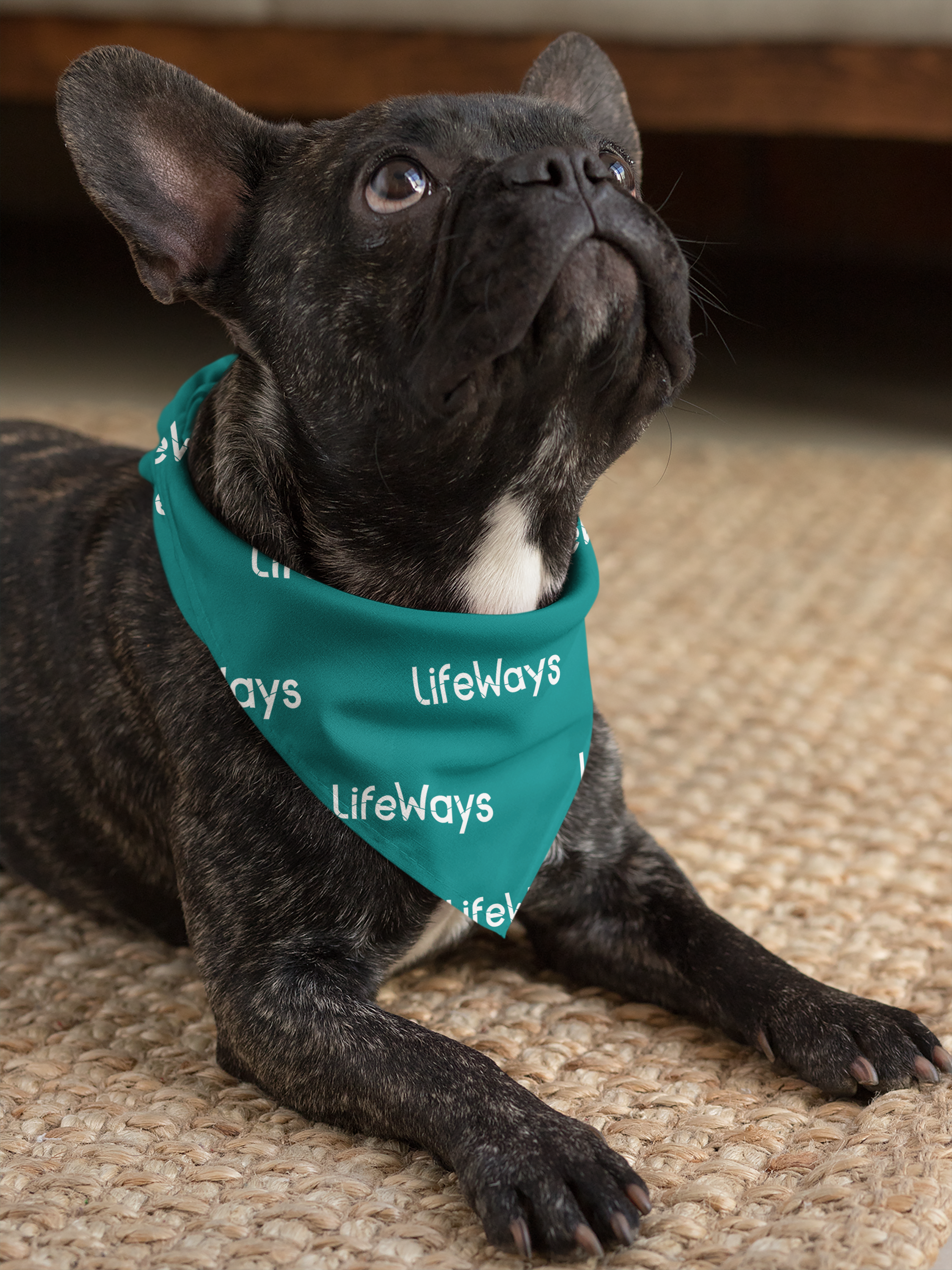 NEW! Triangle Pet Bandana with Collar Opening