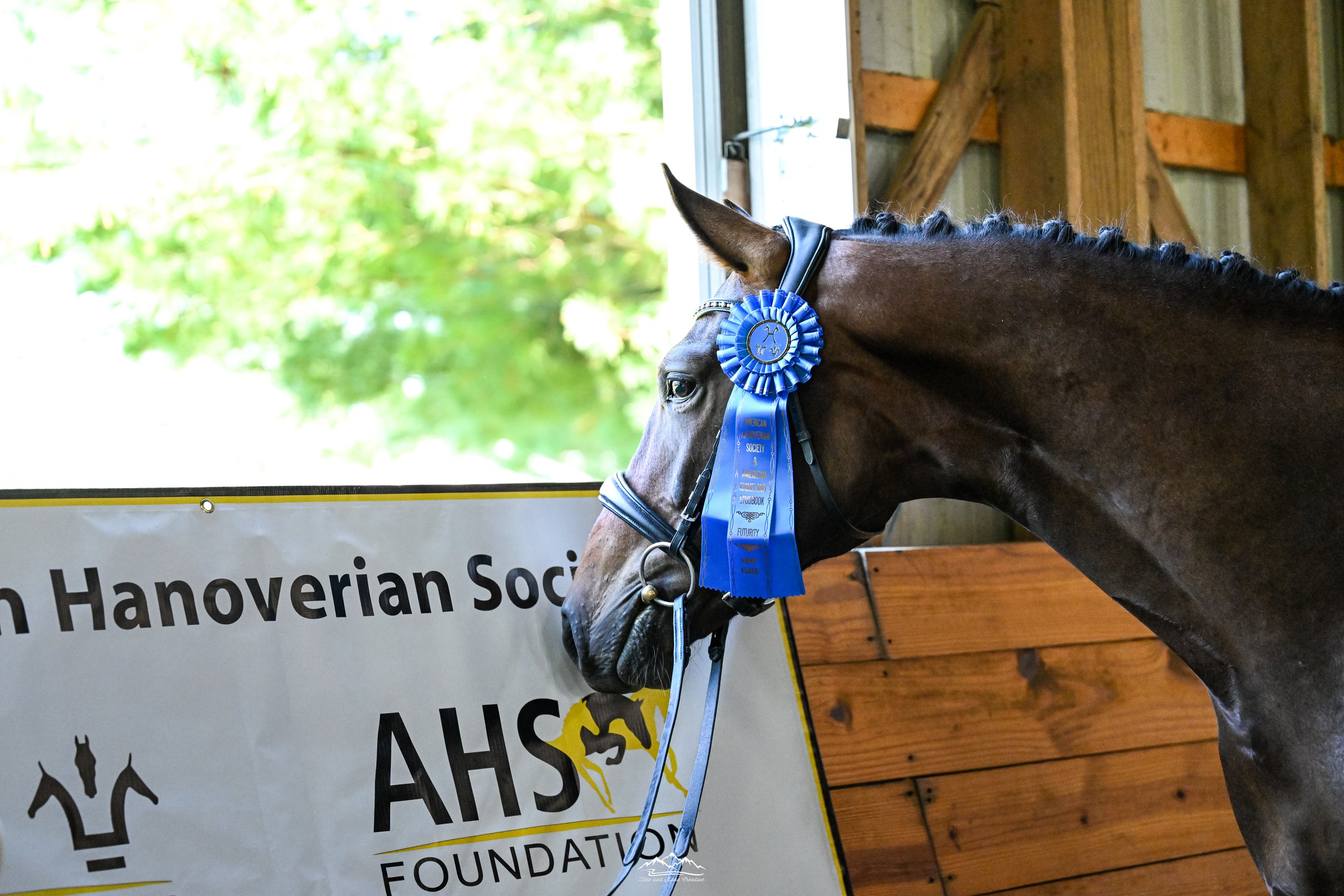 AHS Inspection @ Arendahl Farm