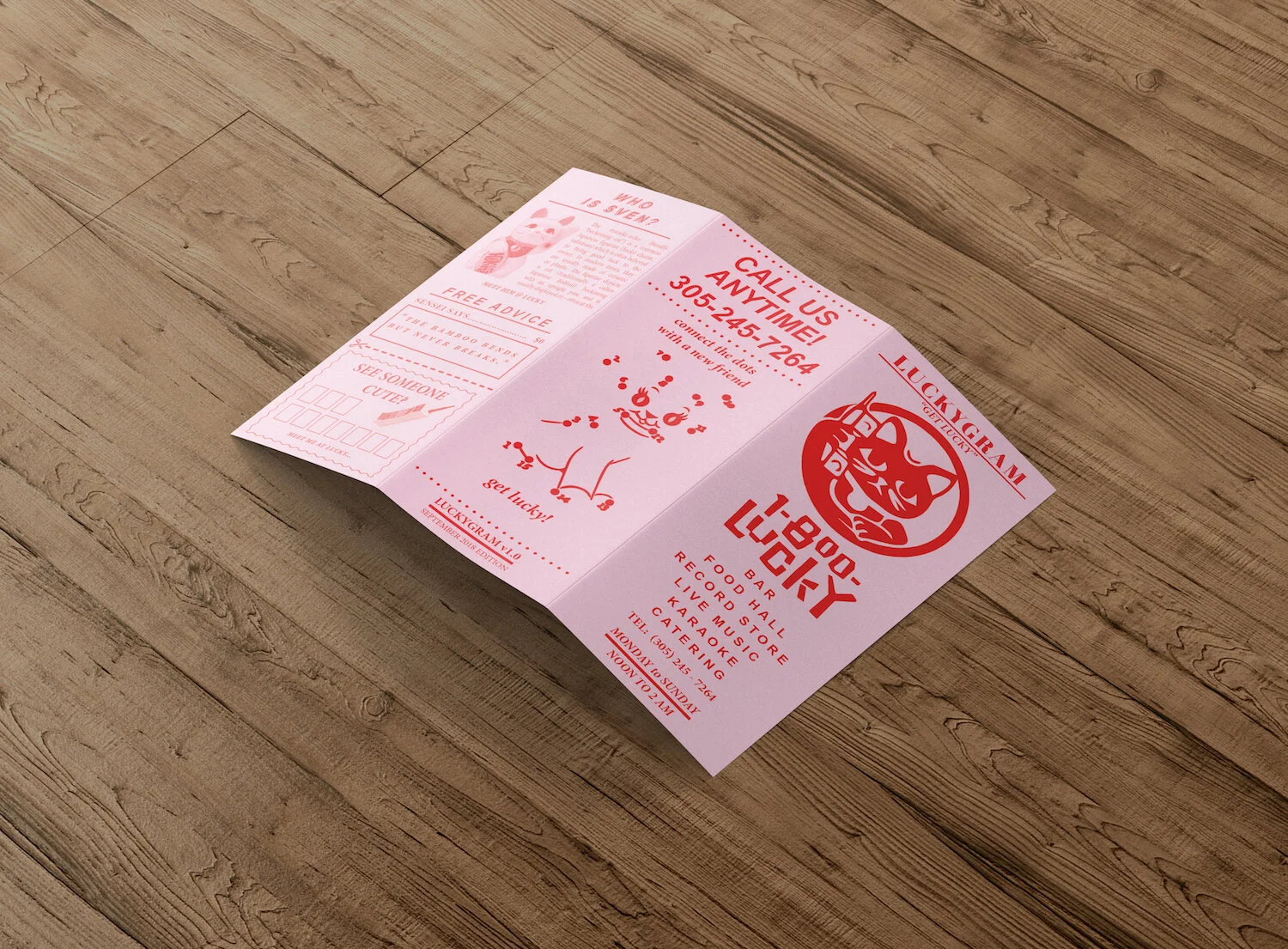 bg trifold_brochure_open_back_side.jpg