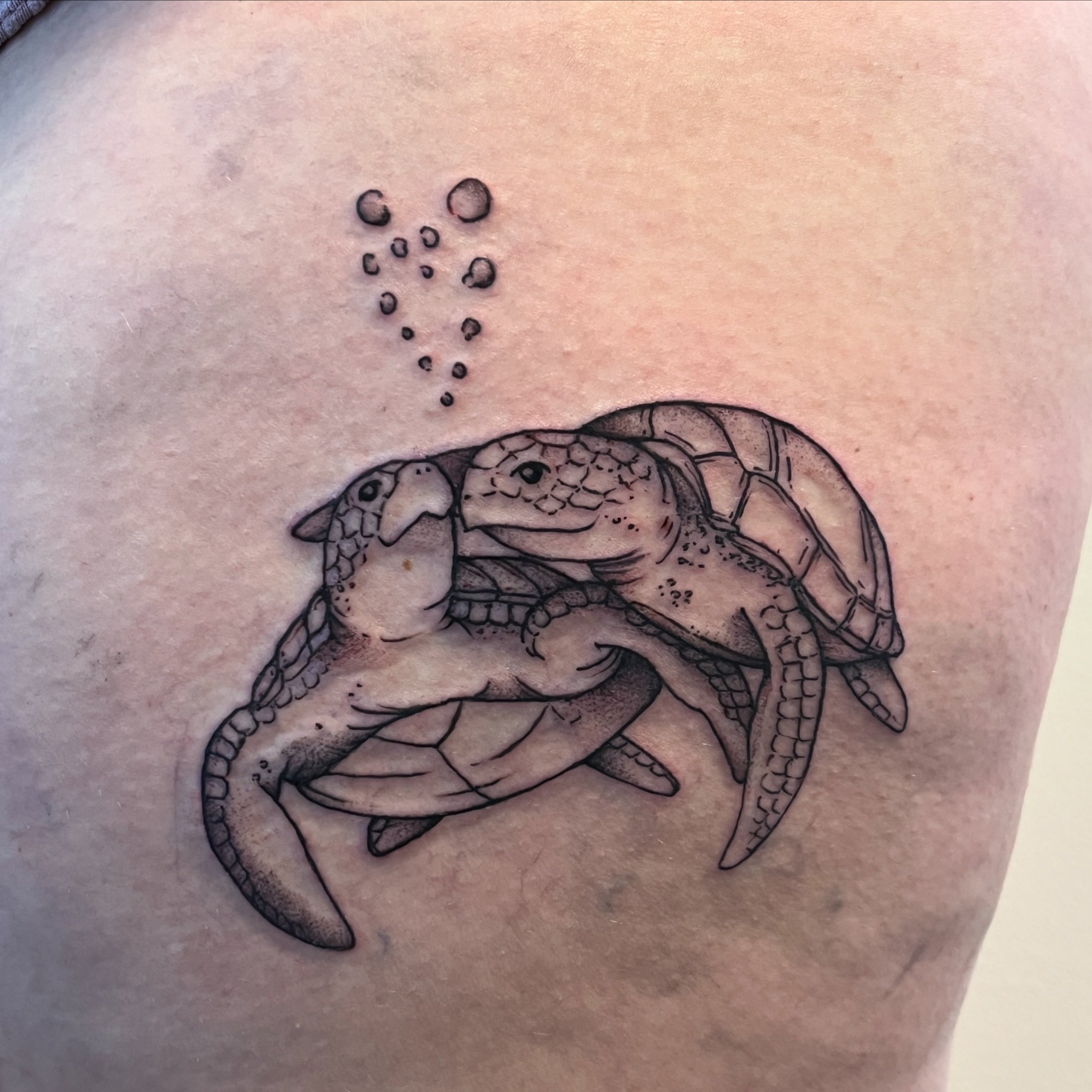 sea turtle sweethearts for abby 🐢💕 wonderful having you back in, it was great catching up and thanks again for getting this piece! #turtletattoo #seatattoo #aquaticlife #animaltattoo #pdxtattoo