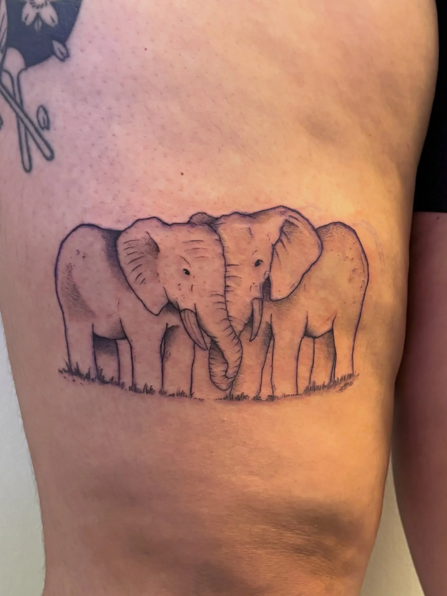Got to tattoo the sweetest set of elephants on sarah yesterday 🐘💕 it was so great having you back in the studio and catching up friend!! (: tysm for making the time to come in during your visit and hope you have a wonderful rest of your trip