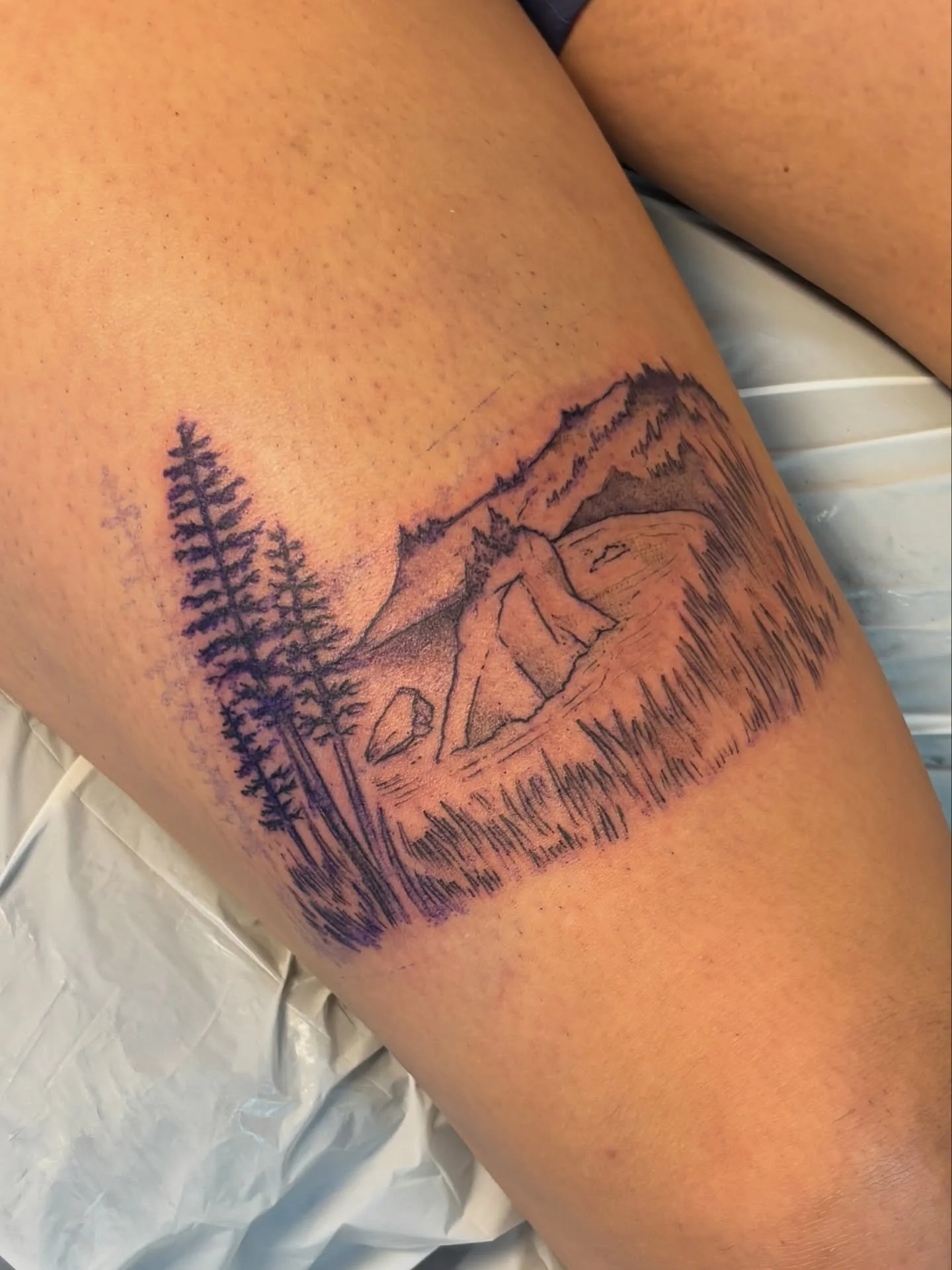 a cove off the oregon coast for dani ⛰️ scenes like these were my favorite growing up on the coast so it was extra fun working on this piece (: it was great meeting and having you in, thanks again for getting this done!