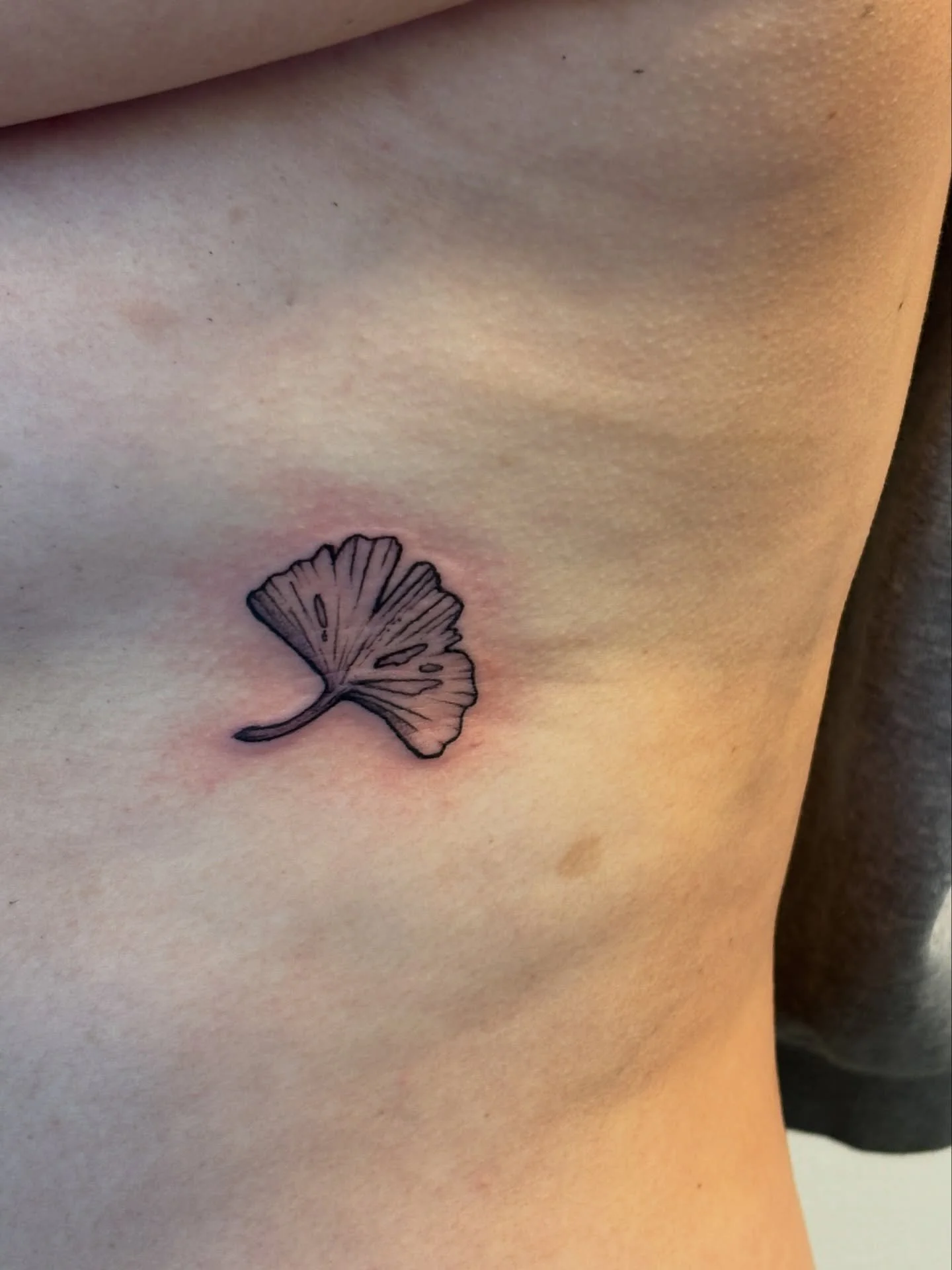 gingko for angela ☘️ thanks for the trust with your first piece, you sat like a pro and it was so great to meet you! (: