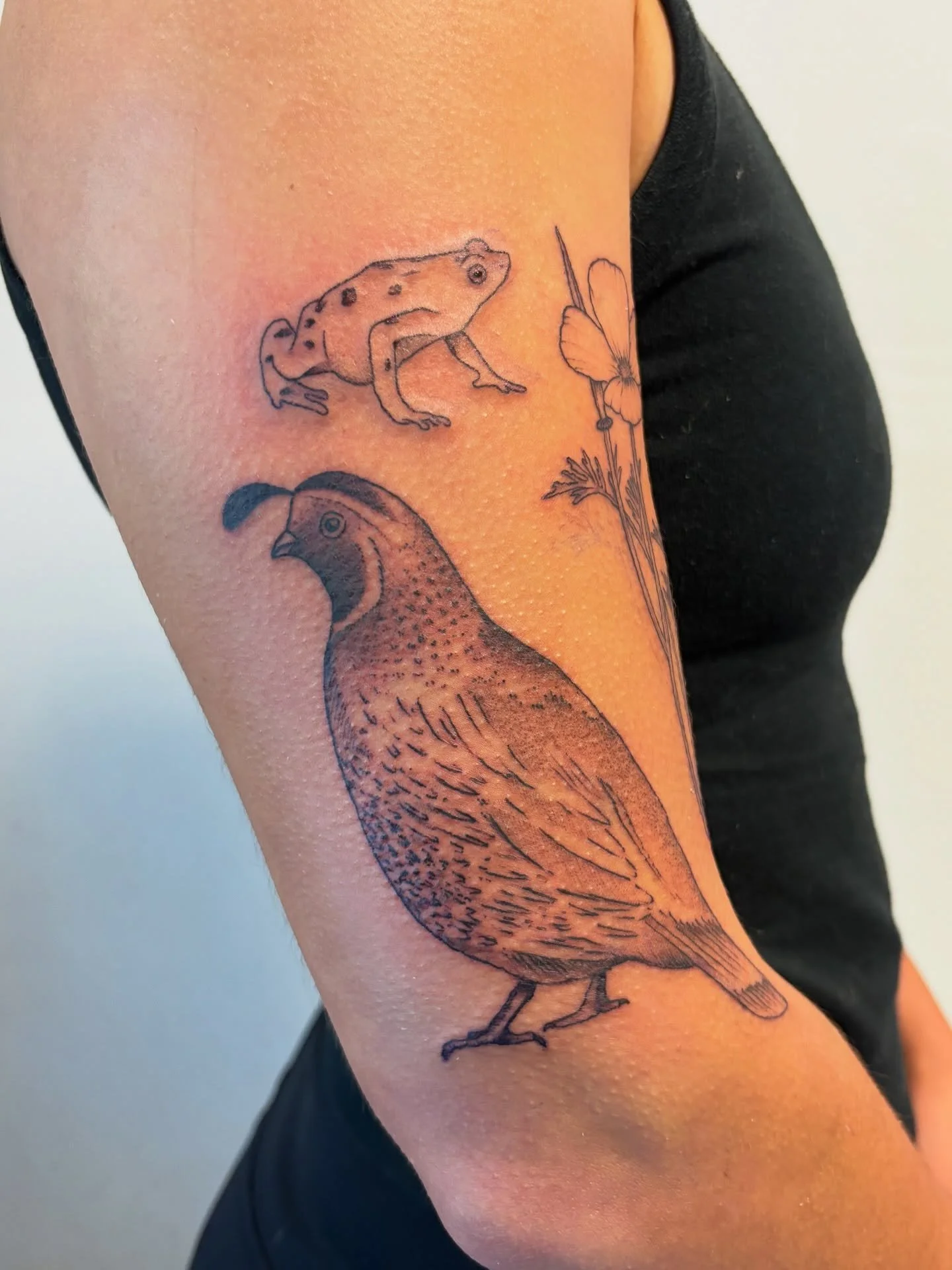 got a great start on this nature half-sleeve for isa ✨ this is such a fun project to get to work on, thanks again for the trust with it and I&rsquo;m so stoked to add more next month !! (: