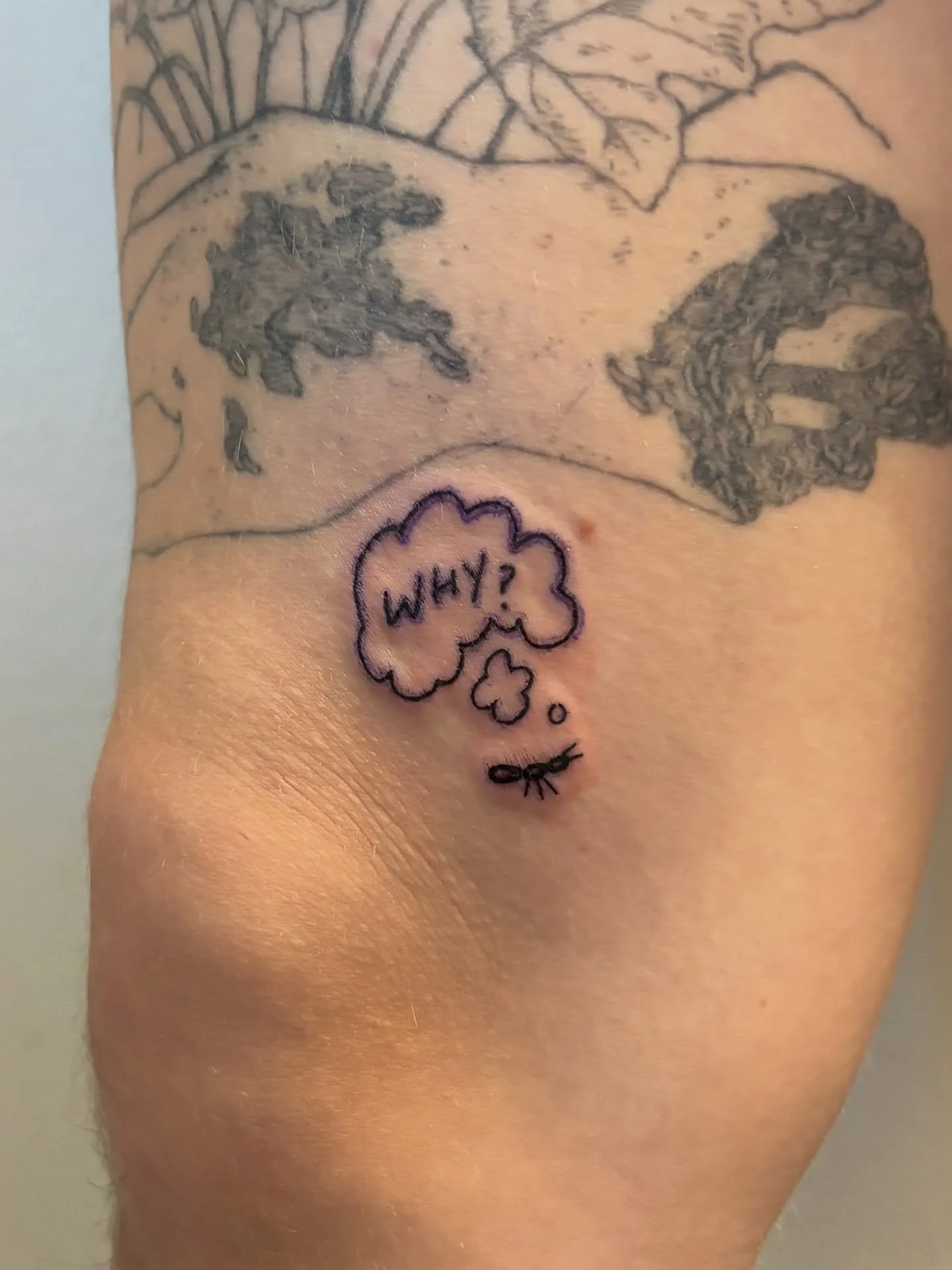 existential ant and fall flash for the one &amp; only sully ✨ it was so great catching up and having you back in the studio (: thanks again friend!!