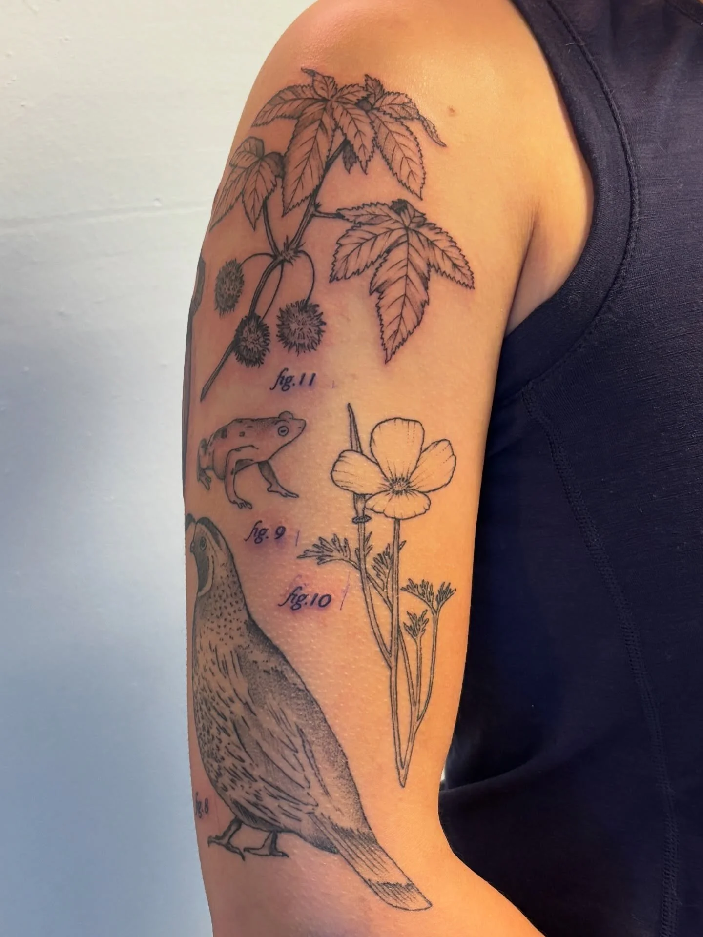 definitely one of my top fave projects this year ◝(ᵔᵕᵔ)◜ thanks a ton isa!! it was a blast working on this field study sleeve and appreciate your patience, chats and just general chill vibes throughout it ✰