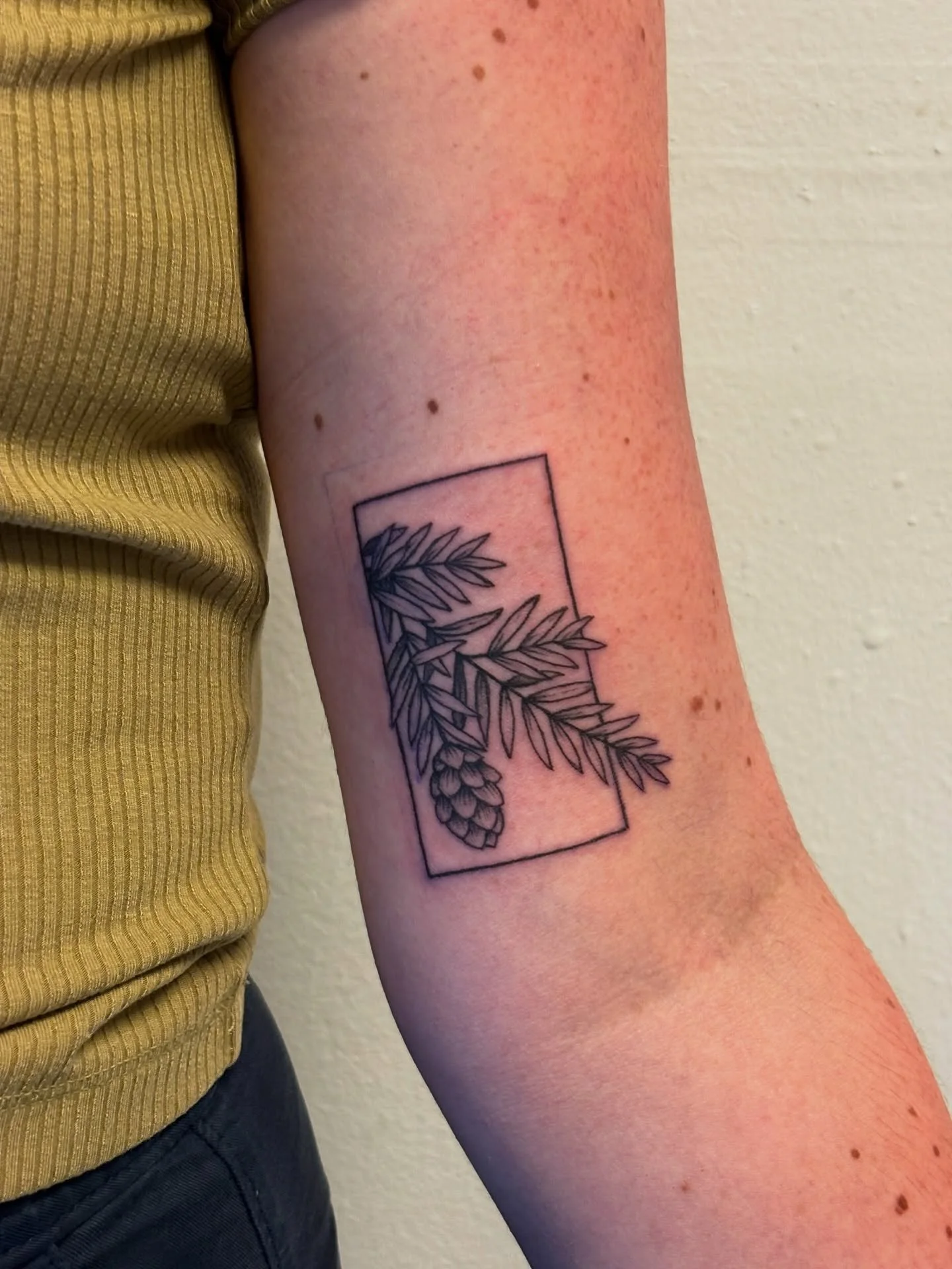 western hemlock &amp; a garlic flower guy for camille 🌿so great catching up and having you back in for these pieces, thanks again for picking them up!! (: