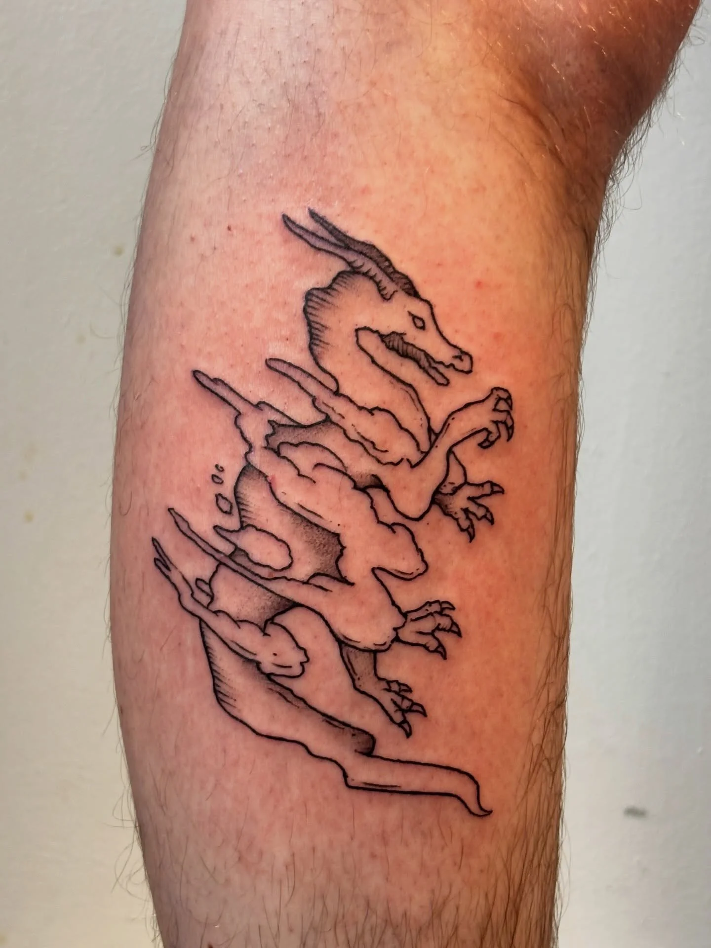 Brendhan was up for getting whatever so we went with a fun wavy dragon this round 🐉 so chill catching up and having you back in for this piece! Thanks again for the opportunity and hope you have a great upcoming birthday fellow fish friend 🎏