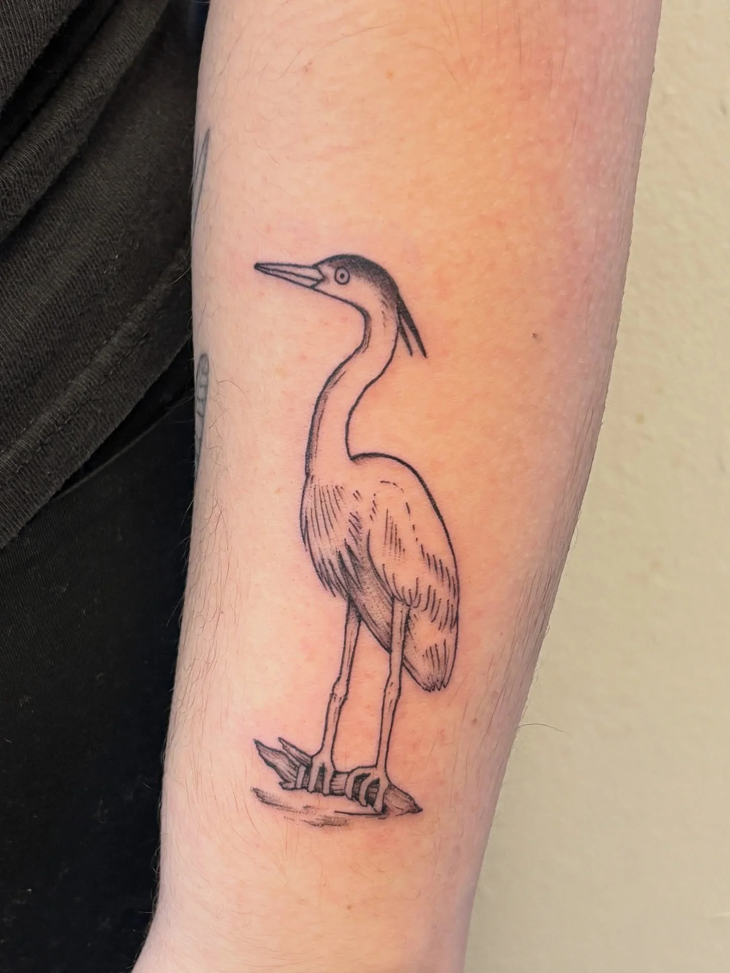 fresh heron next to a few other healed pieces we&rsquo;ve worked on together ✨ great having you back in chloe (: always fun catching up and hope you get a chance to see one of these guys up close at the river this summer!