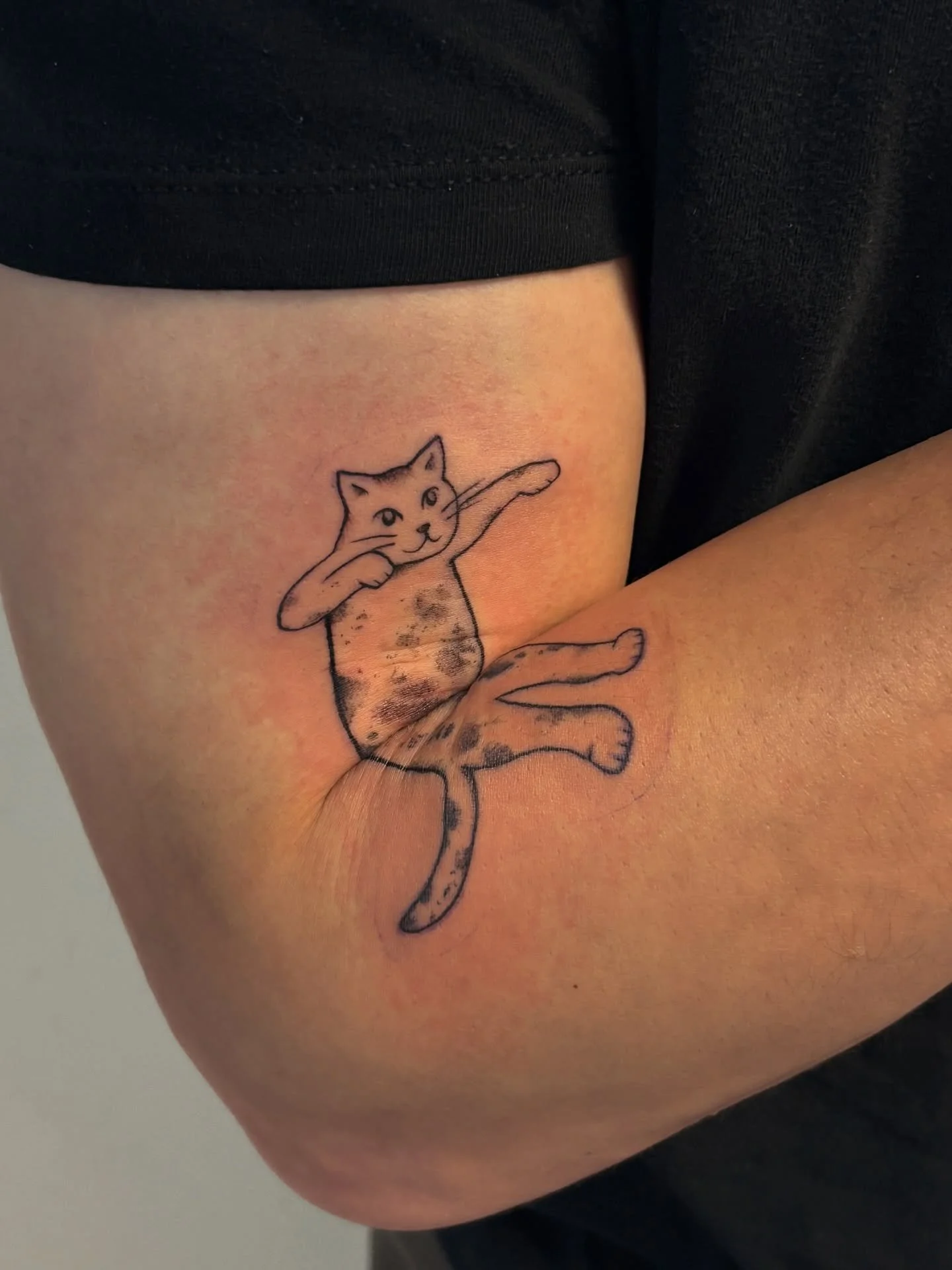 super stretchy cat for logan ≽^&bull;⩊&bull;^≼ this was such a fun custom to work on and it was great meeting you, thanks again for making the trip down!!