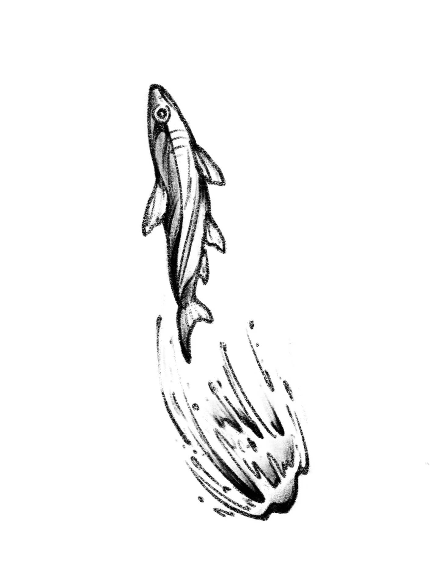 that last stretchy cat piece was so fun it inspired me to draw some flash just for that arm placement c: I&rsquo;d love to tattoo these so please reach out if you&rsquo;re interested and lmk if you&rsquo;ve got a cool tattoo idea for this spot! :o