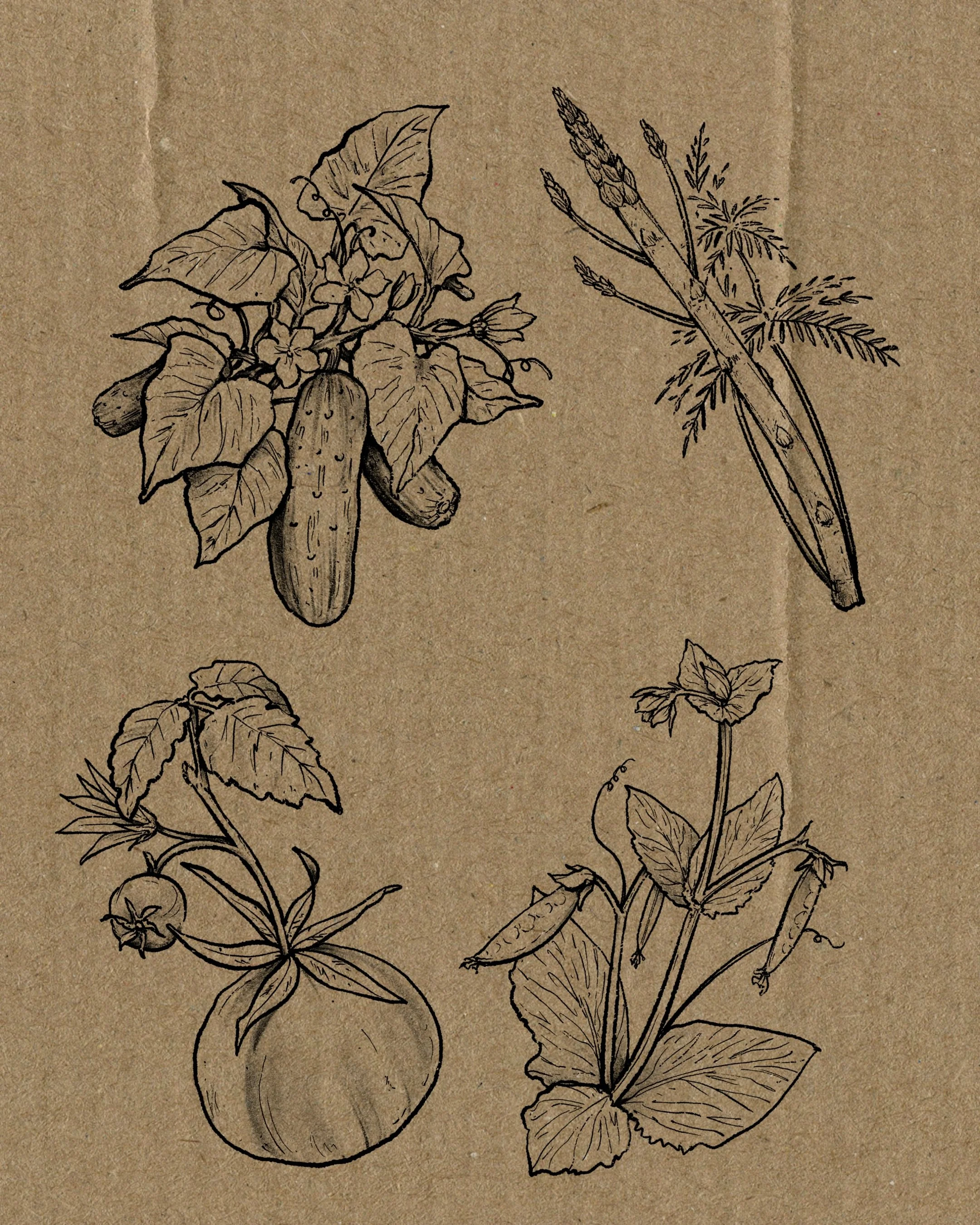 fresh produce flash, ripe for the pickin ((: these range from $125-250 depending on piece, size &amp; placement. would love to tattoo any &amp; all of these tasty veggies! You can snag one yourself via link in my bio ♡