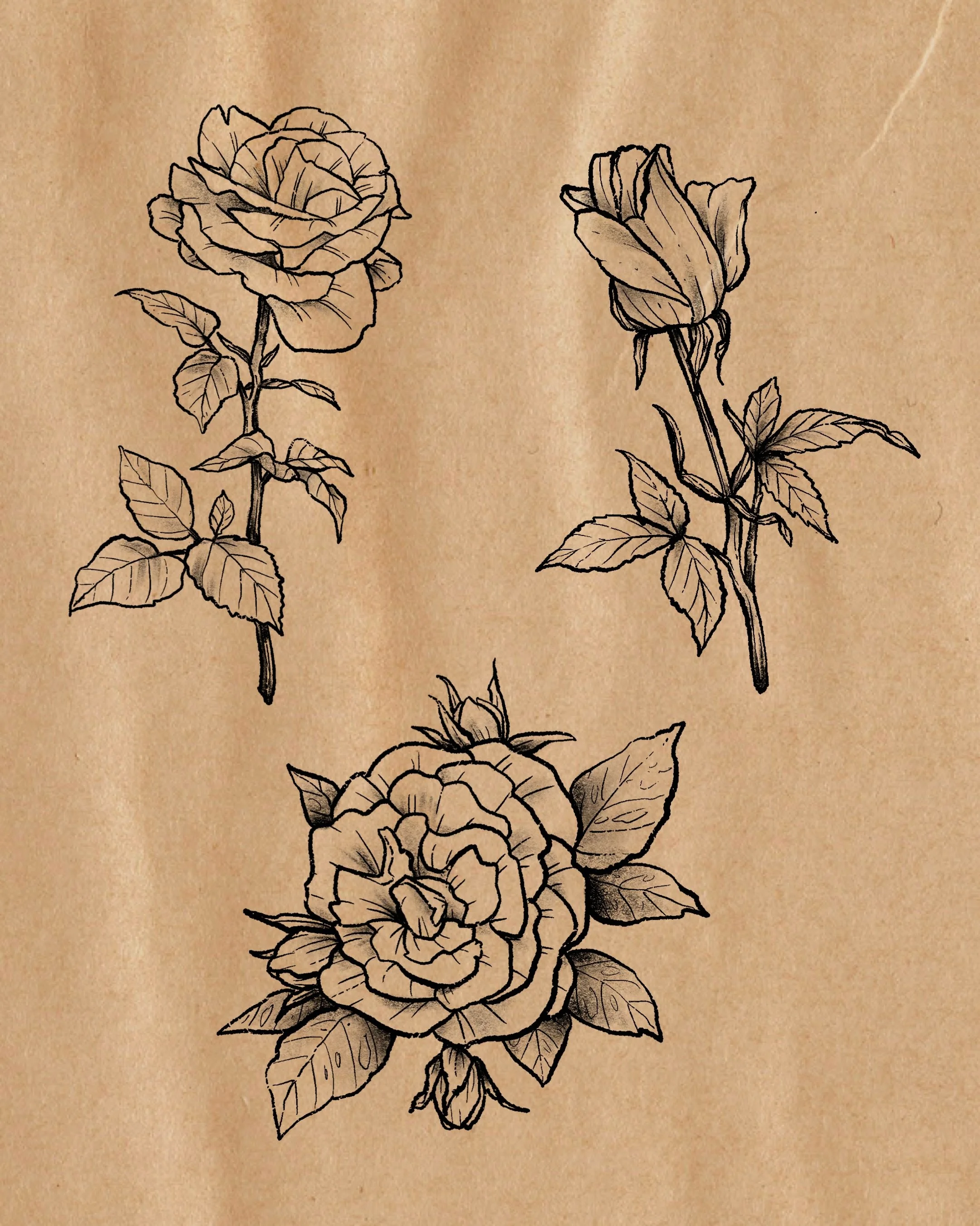 went on a walk and happened to end up at the rose garden ⚘❦ not a whole lot still had smells but the ones that did were so lovely in the wind ♡ I&rsquo;ve got a few spots still available in June and a lot more time free in July that I&rsquo;d love to