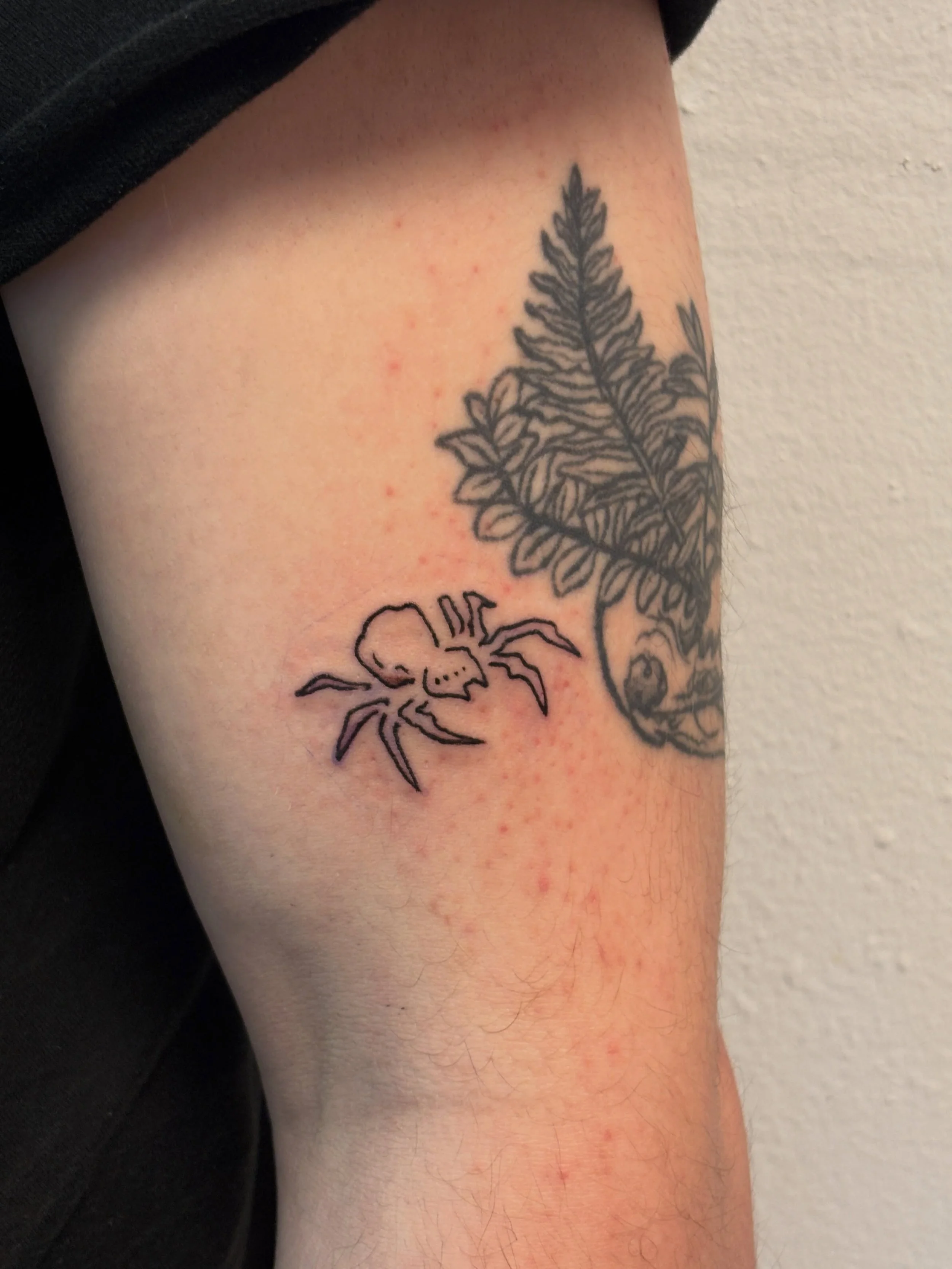 the art and the inspo 🕷️ thanks for picking up this repeatable piece ozzy, it was so chill catching up and chatting bout wrestling, massage and the state of the world with you ((: