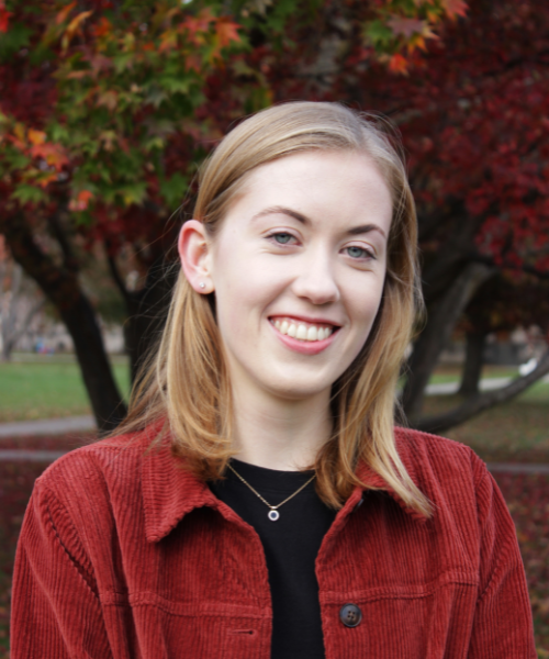 Program BOSSs program-bosss