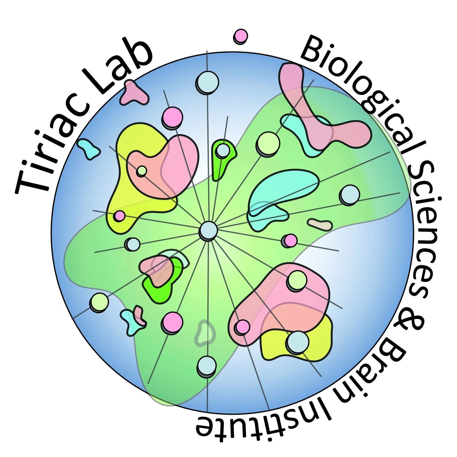 Ongoing Research — Tiriac Lab