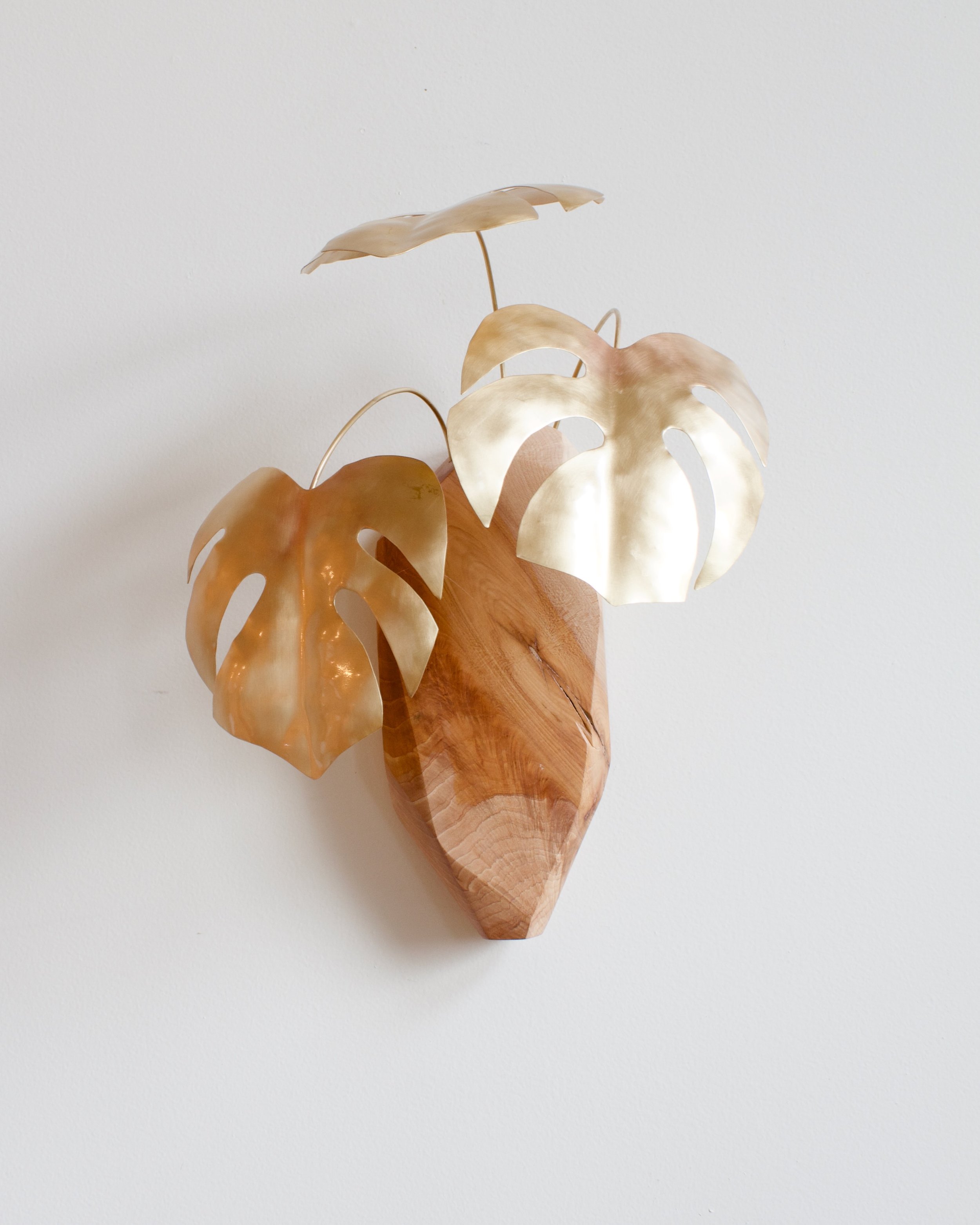 Monsterav.24Cherry4-5 - 1.jpeg