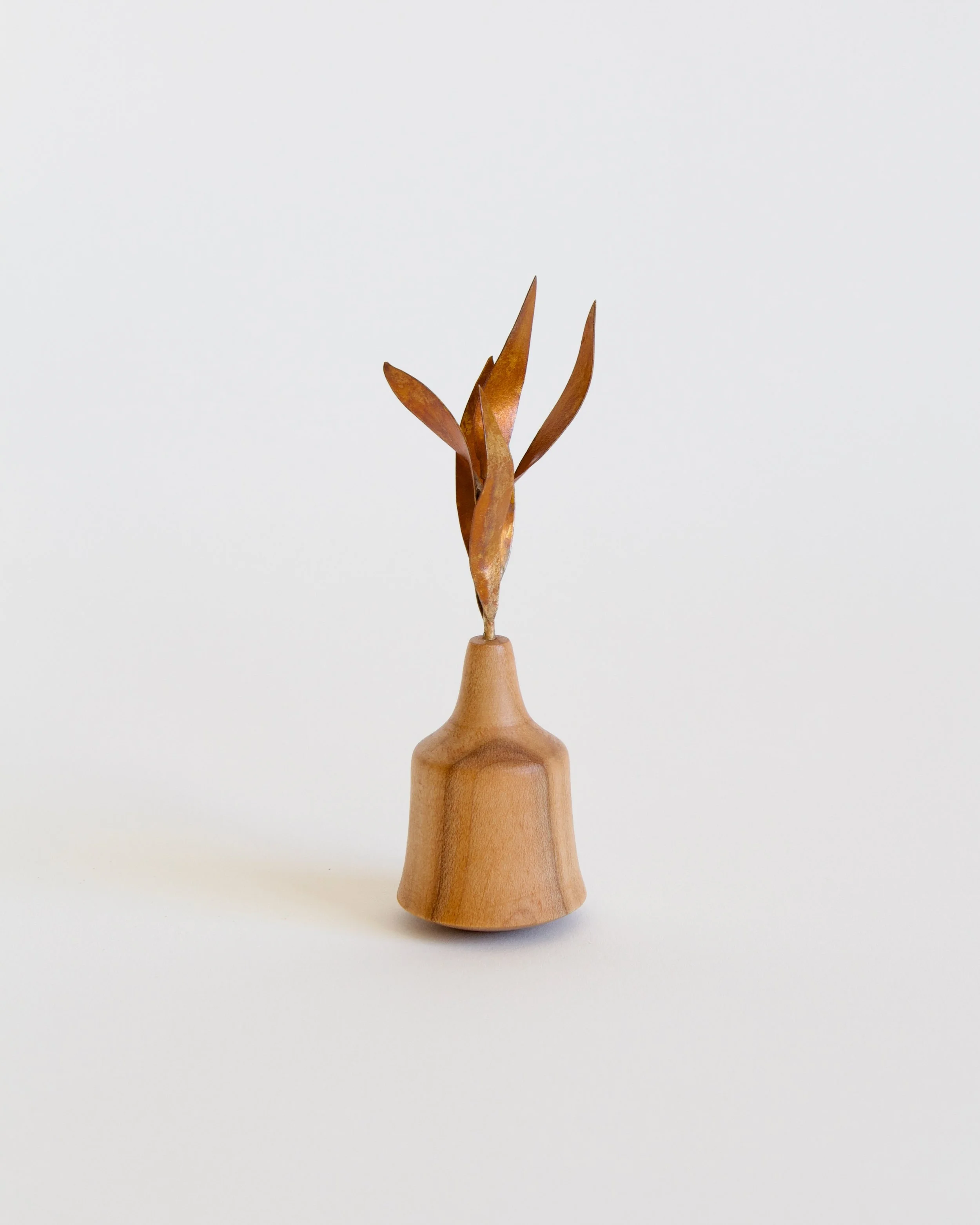 TinyCherry+CastIronPlantVase - 1.jpeg