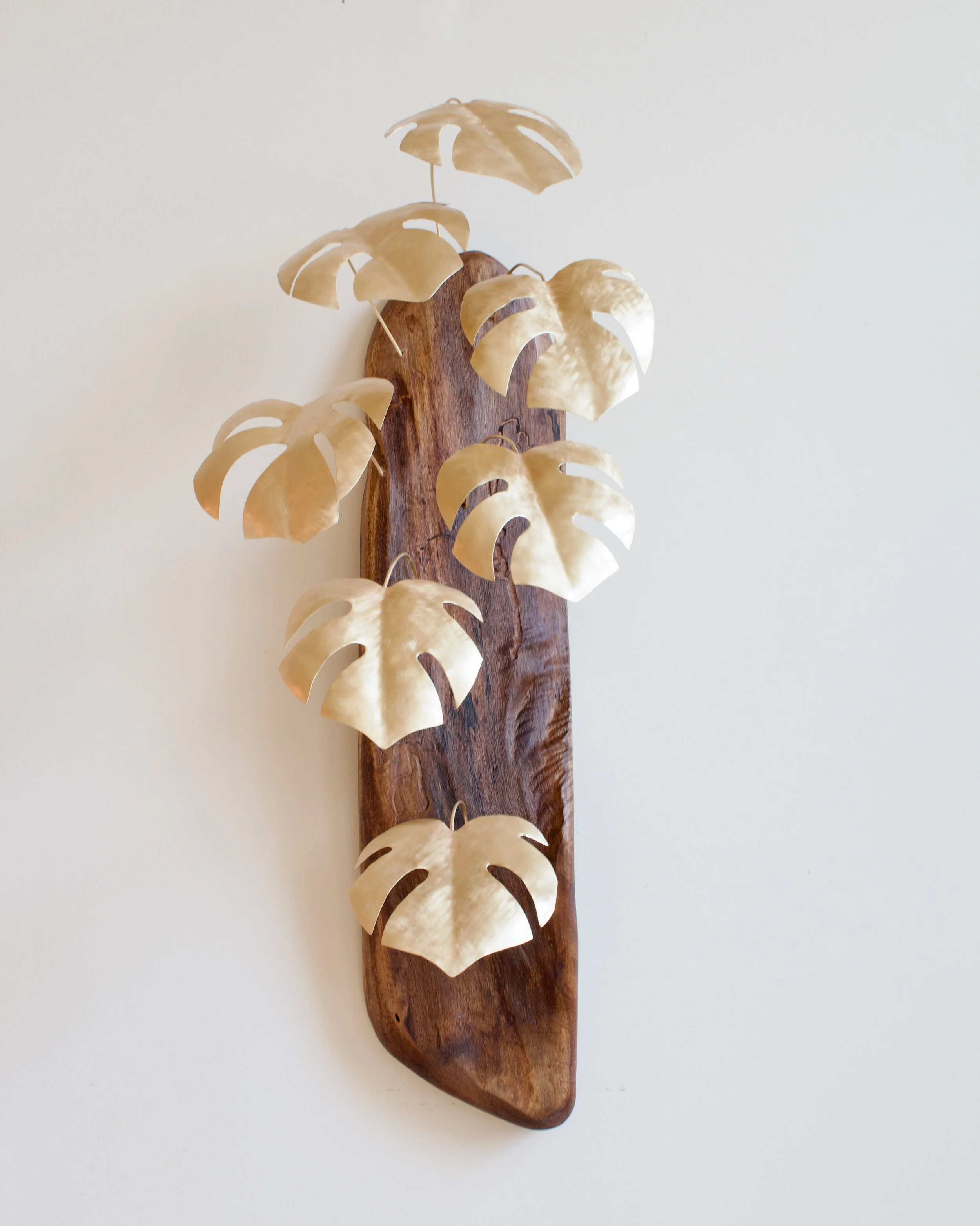 XLMonsterav.264-5 - 1.jpeg