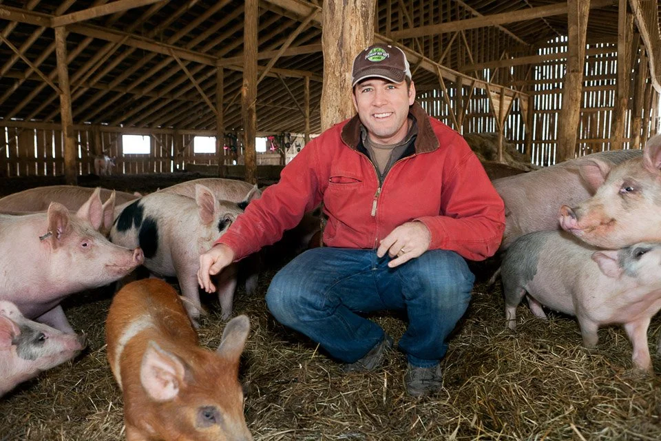 jamie pigs.jpg