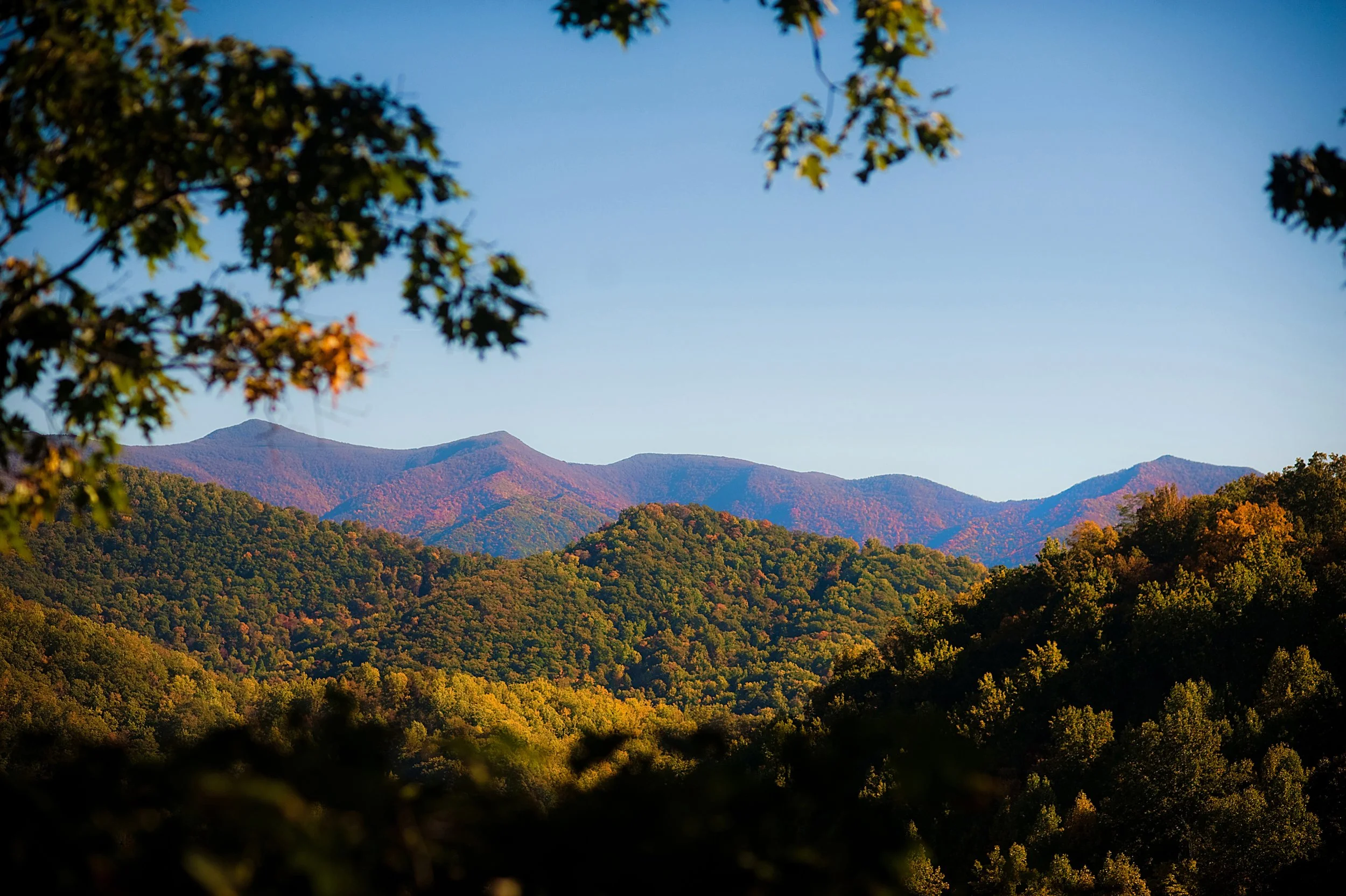 Copy of NCAAshevilleFallView.jpg