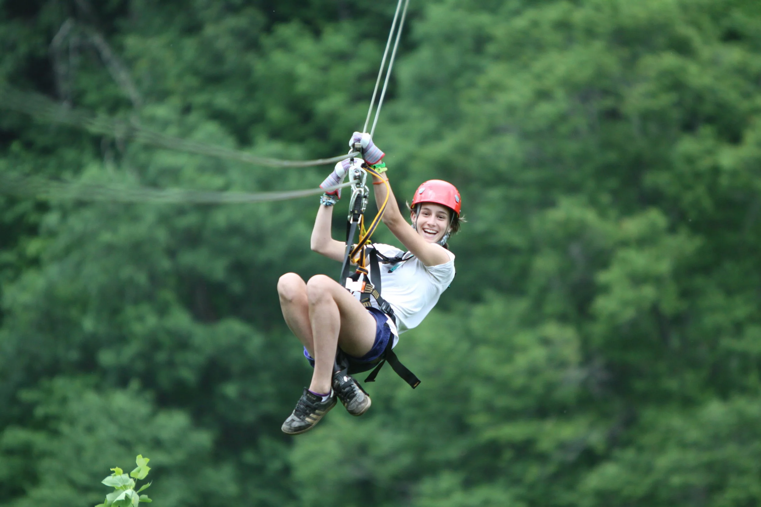 Navitat Zip 1 (1).jpg