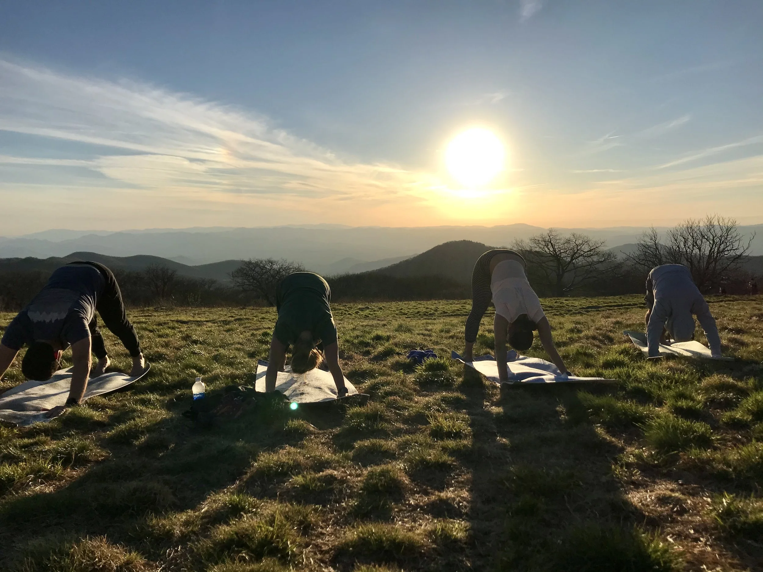 Nicole Killeen - F607D808-BB91-48CA-93F8-25323F927937.jpeg